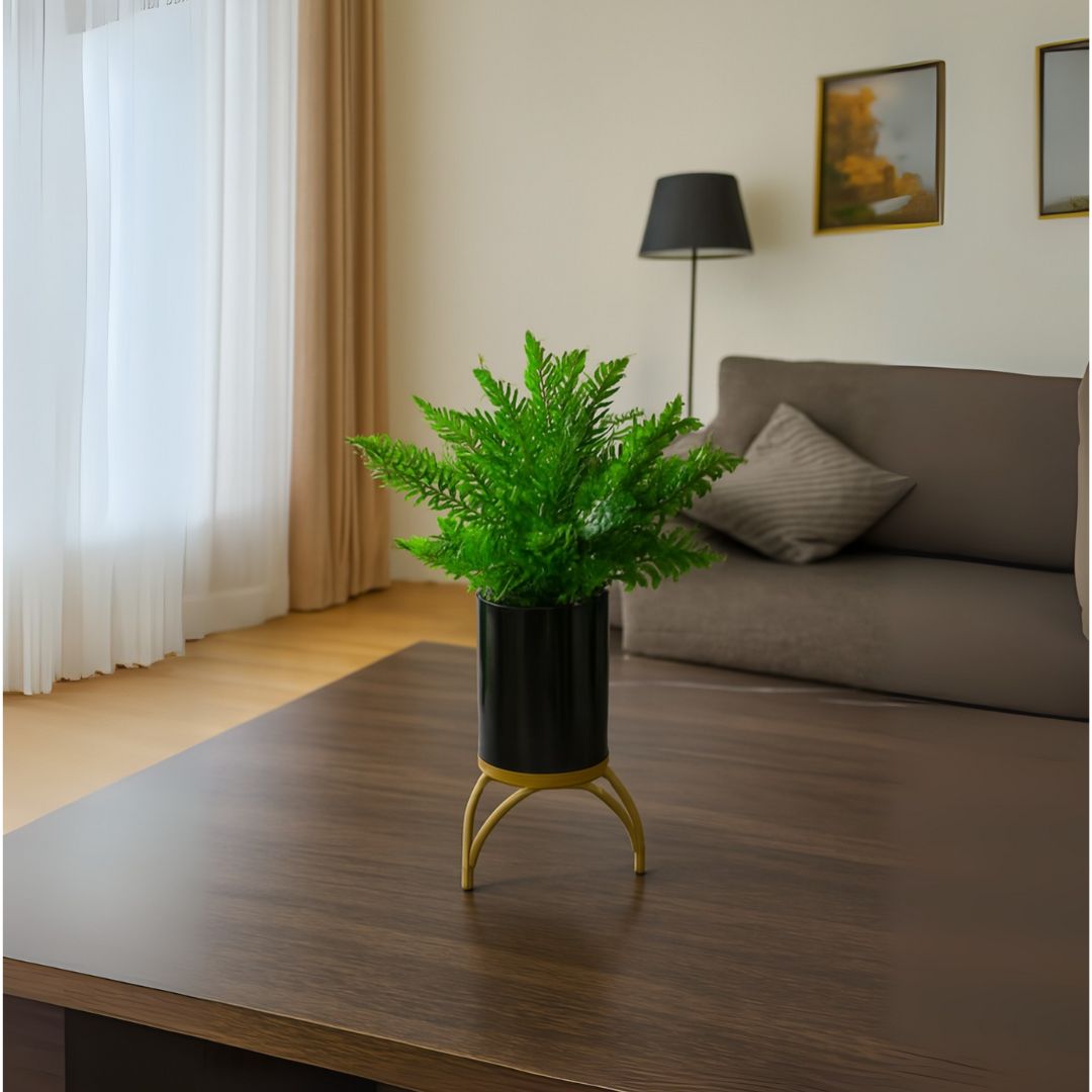 Black Ceramic Pot with Classic Green Plant on Golden Metallic Stand