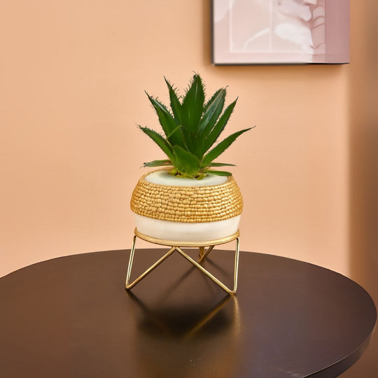Ceramic Pot with Cactus Plant on a Metal Stand