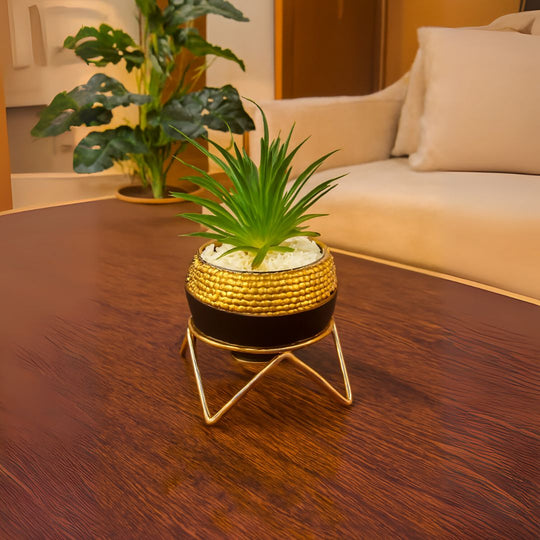 Ceramic Pot with Cactus Plant on a Metal Stand