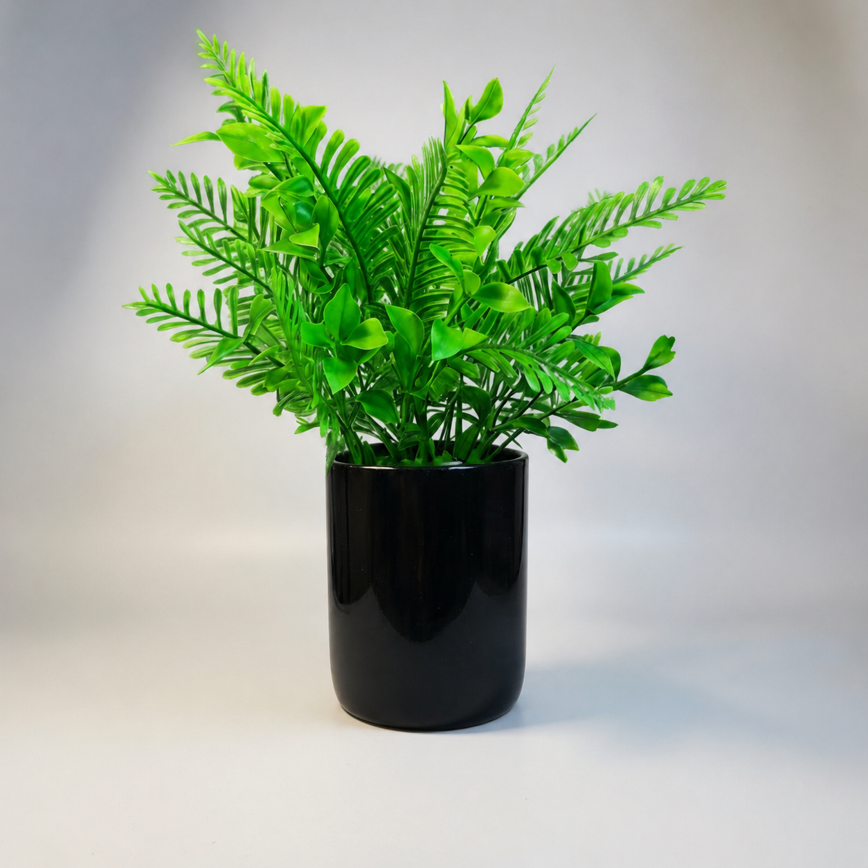Black Ceramic Pot with Classic Green Plant on Golden Metallic Stand