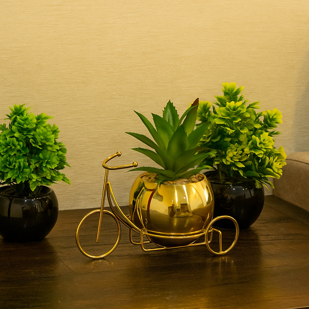 Classic Golden Ceramic Pot with Cactus Plant on Metallic Bicycle