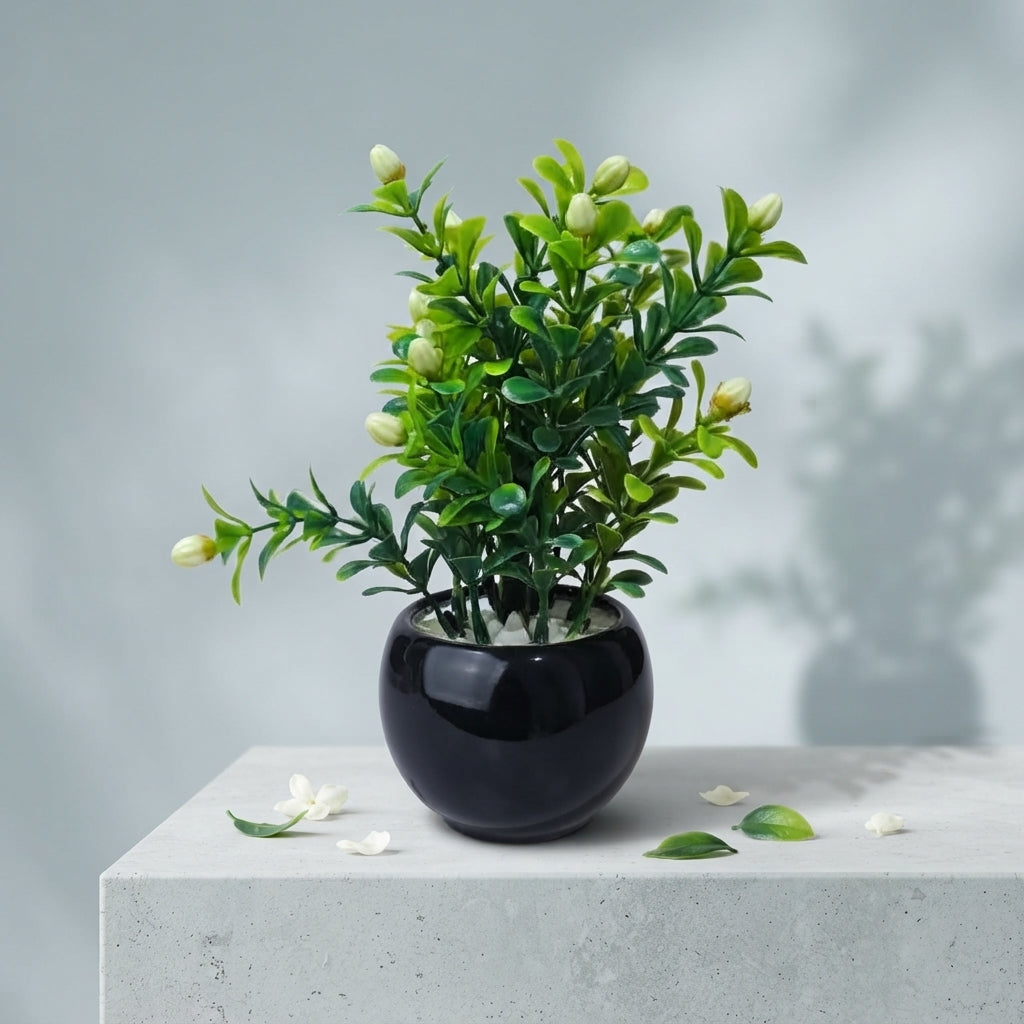 Black Ceramics Pot with artificial Morga(Motia) Flower Buds and Plant