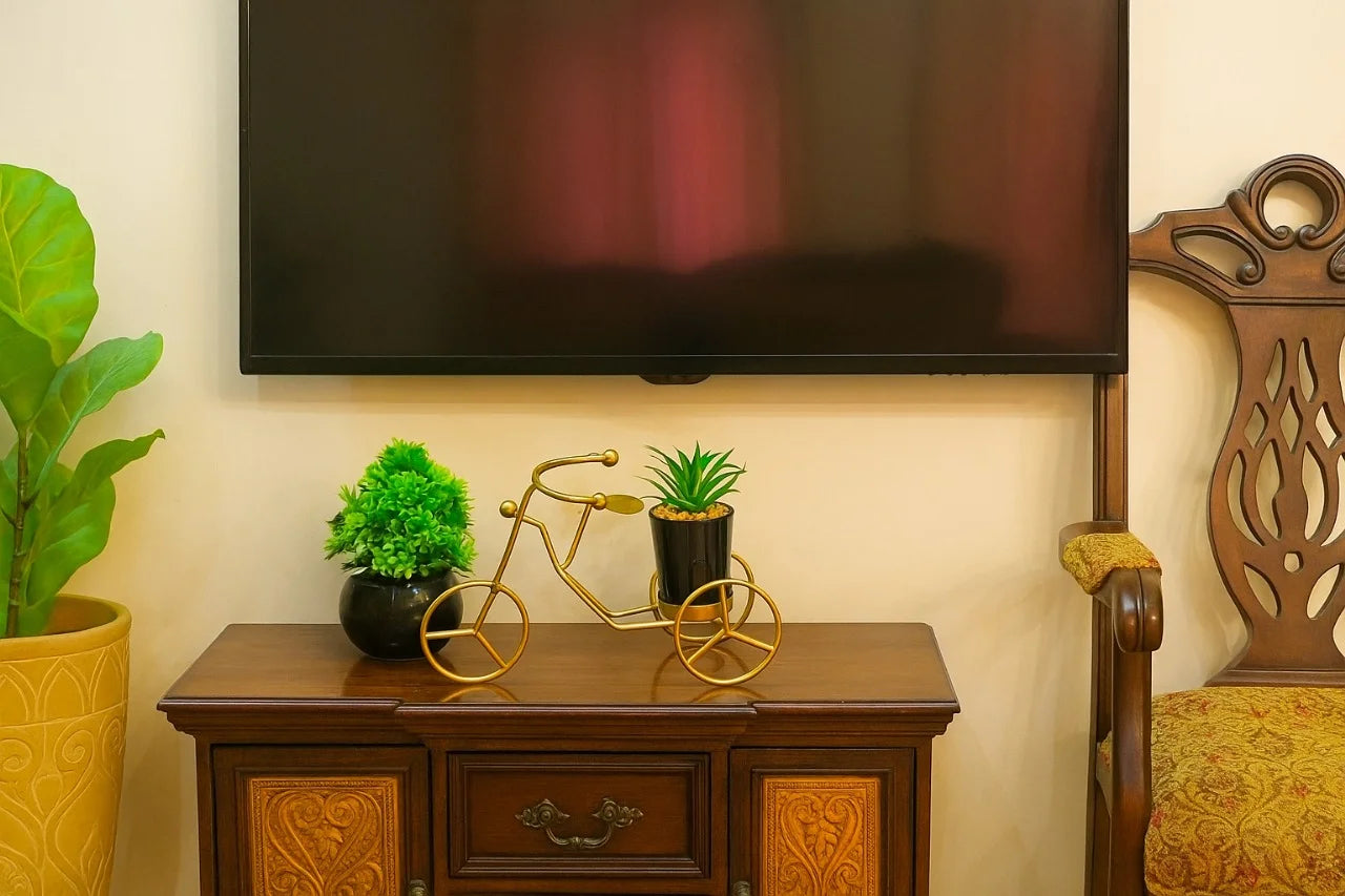 Cactus with Planter over Metallic Tricycle