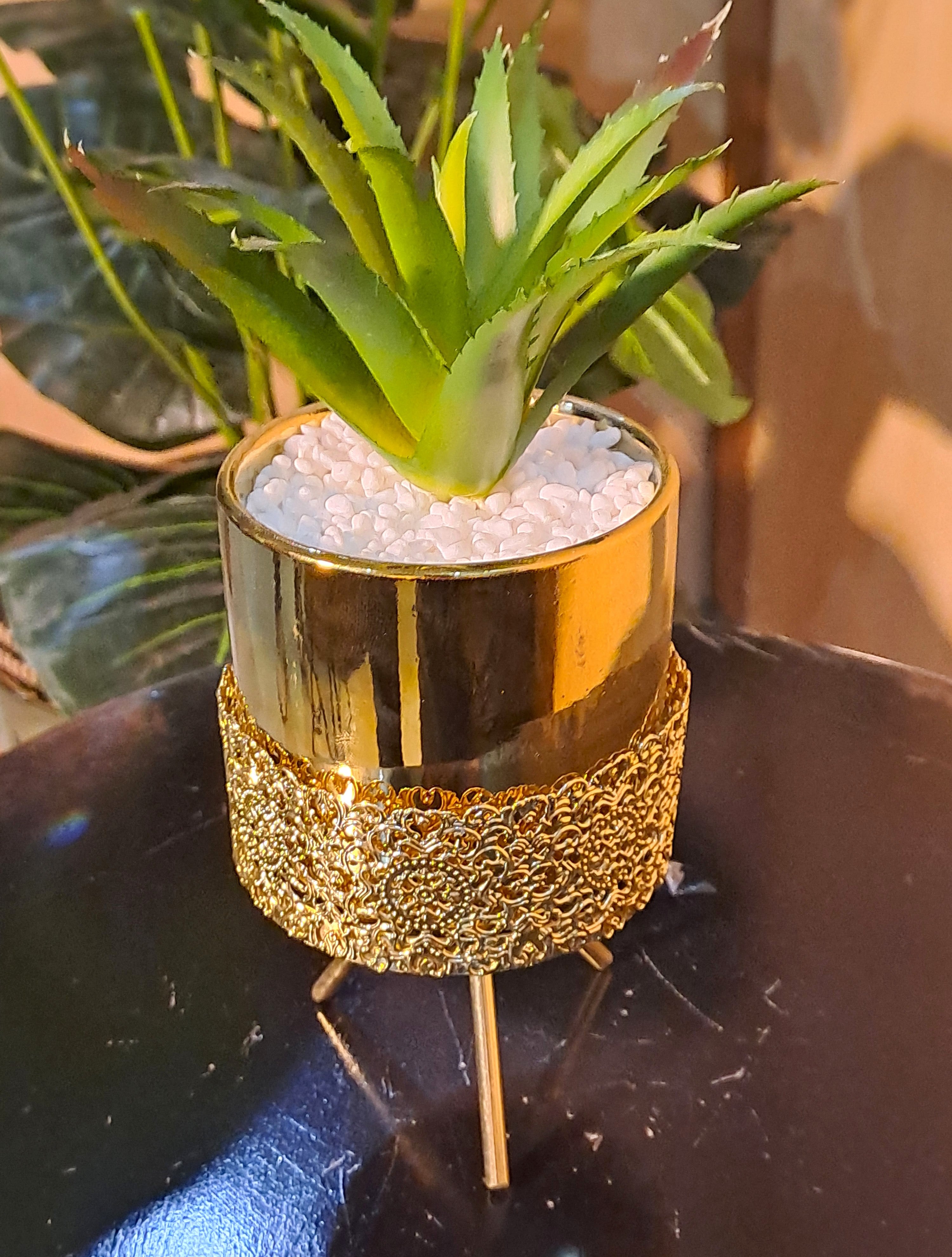 Ceramic Pot with Cactus Plant on a Tripod Stand