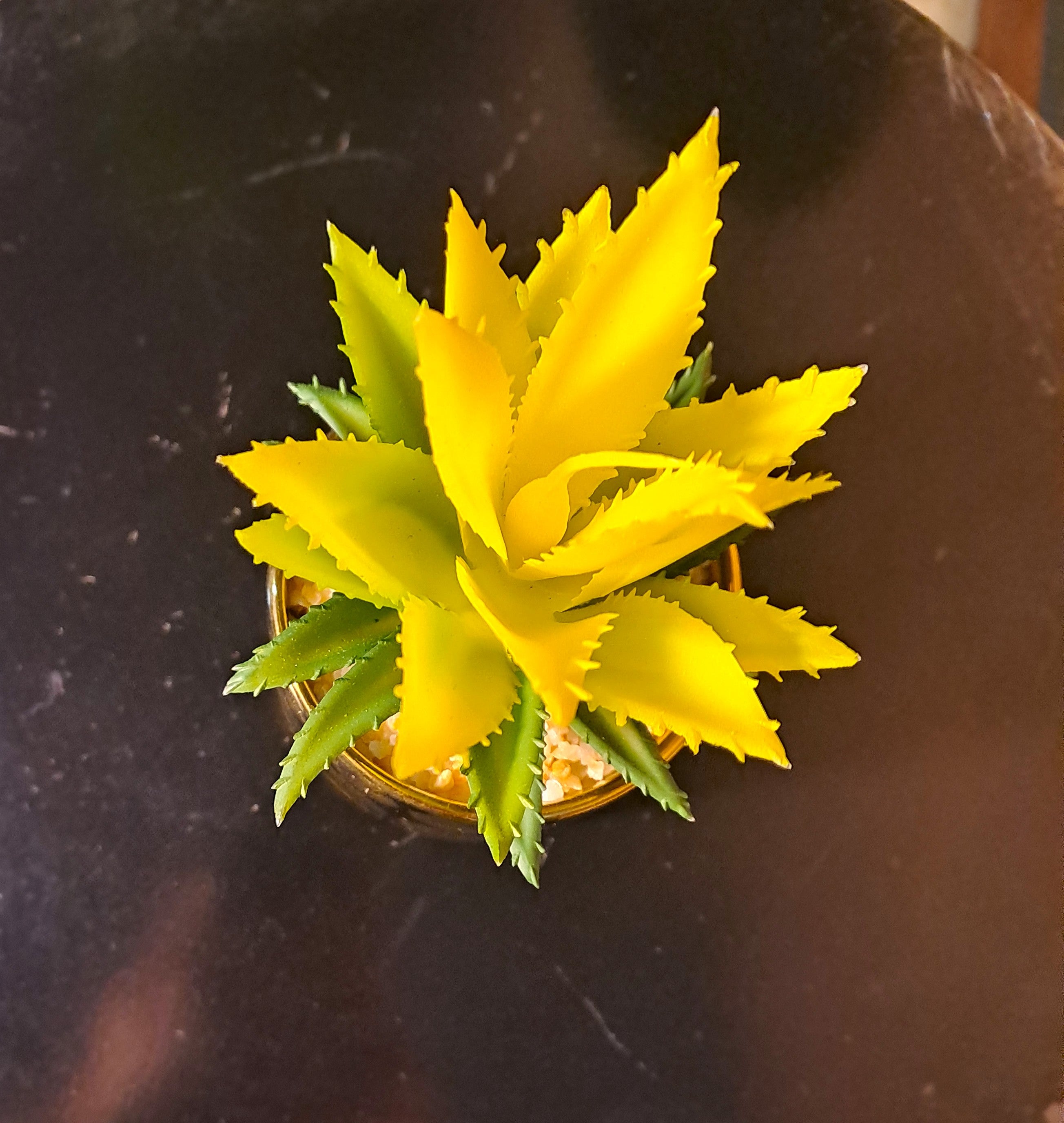 Ceramic Pot (Golden-Black) with artificial Cactus Plant