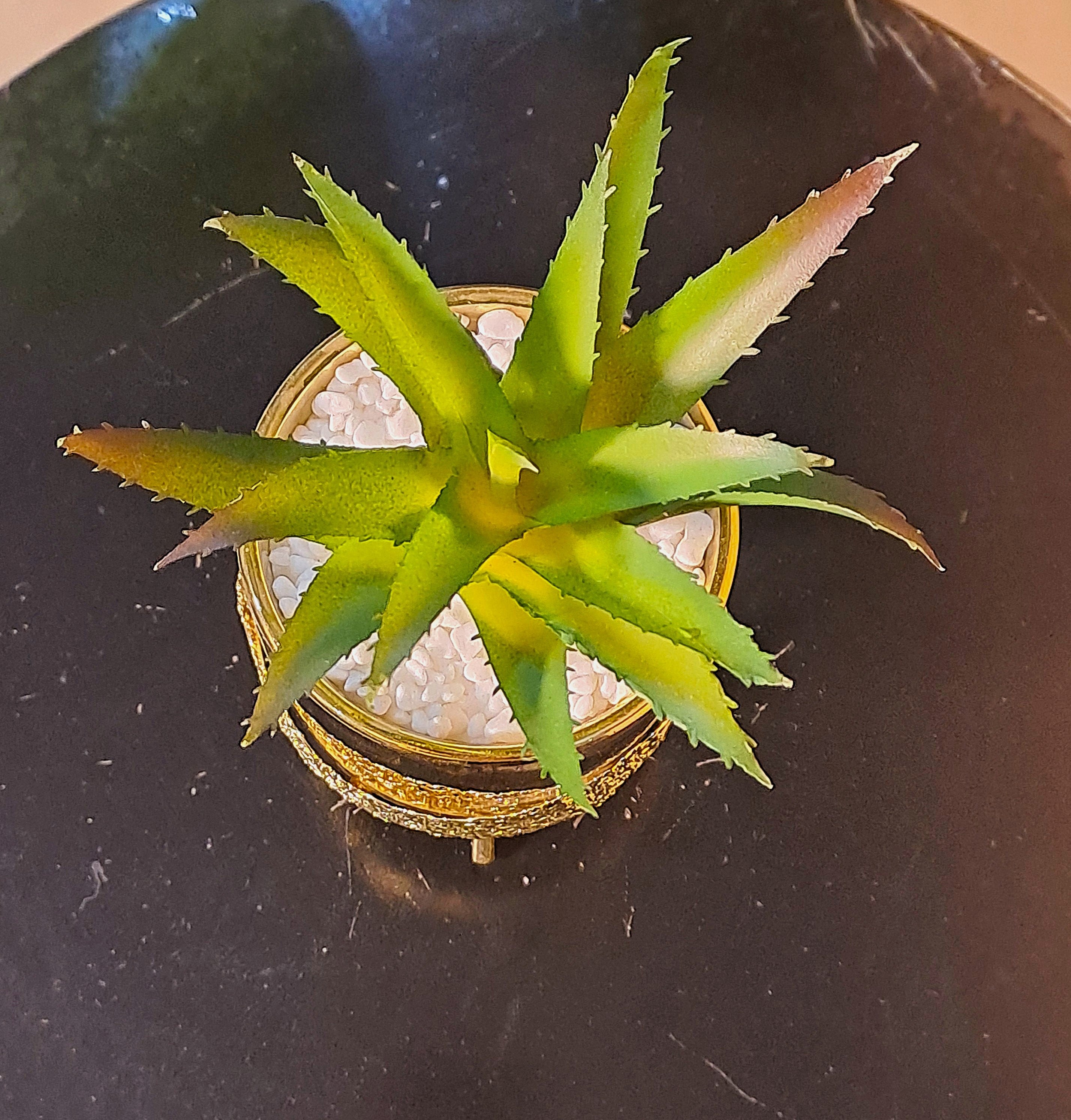 Ceramic Pot with Cactus Plant on a Tripod Stand