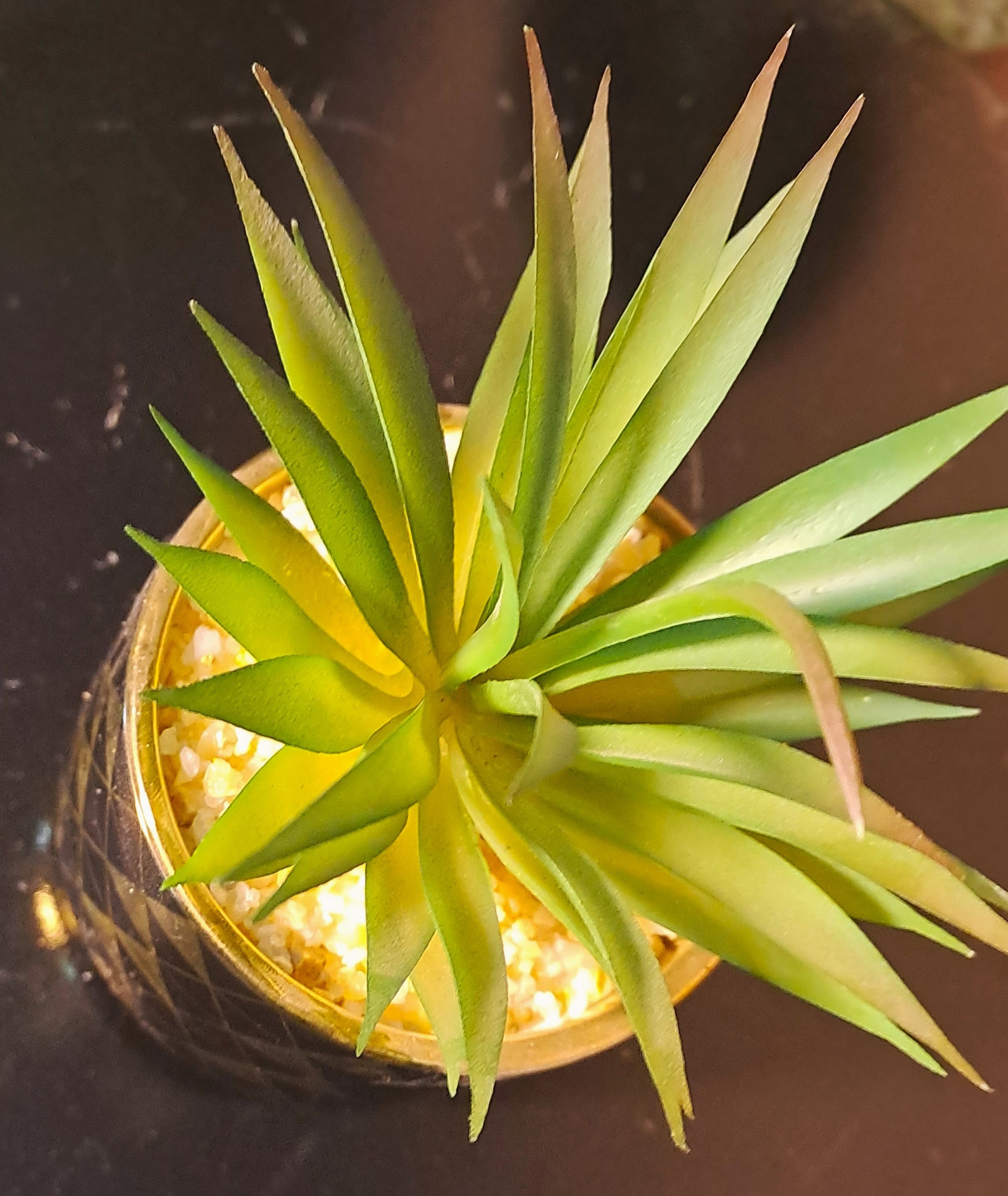 Ceramic Pot (Golden-Black) with artificial Cactus Plant
