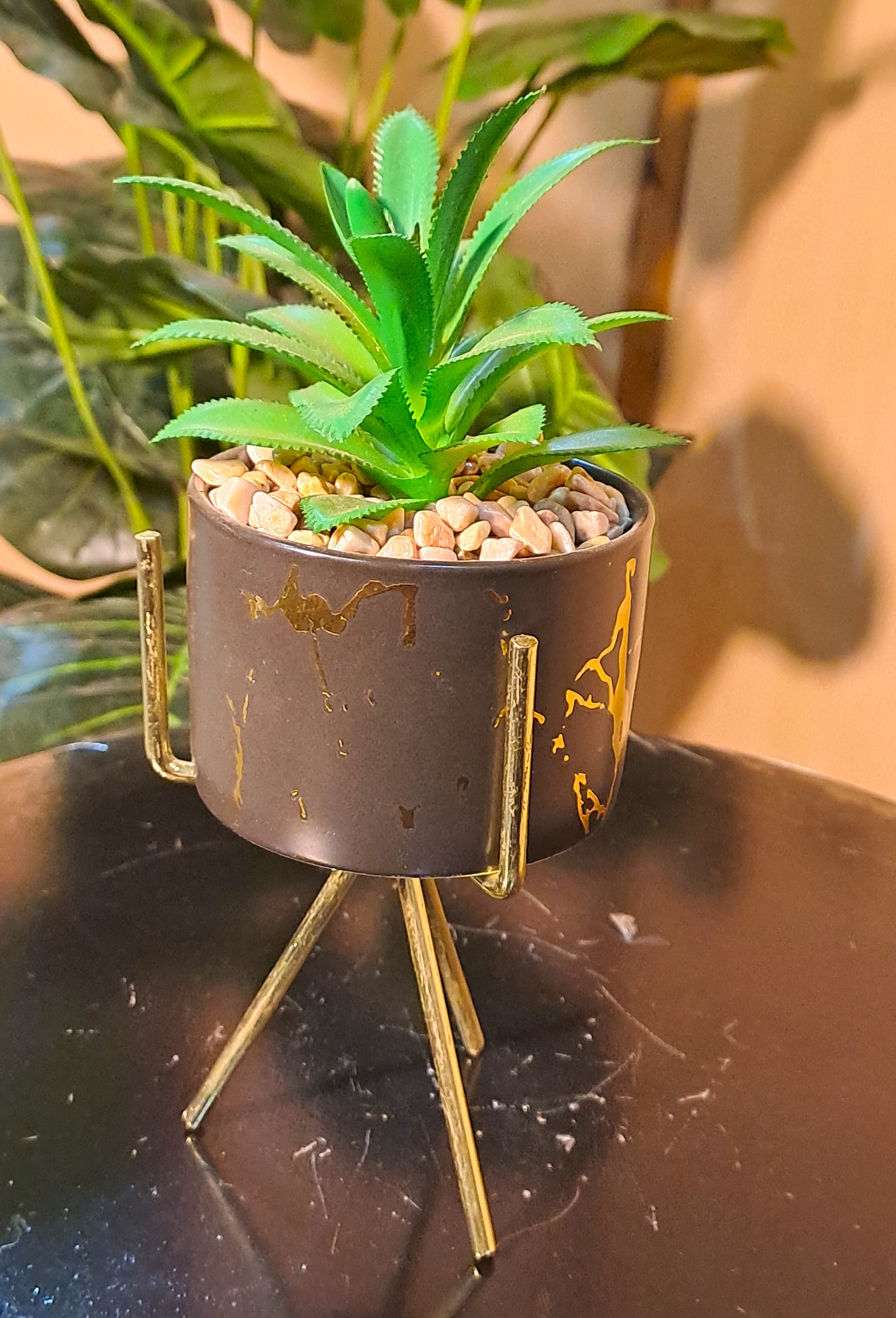 Black Ceramic Pot with Cactus Plant on a Tripod Stand