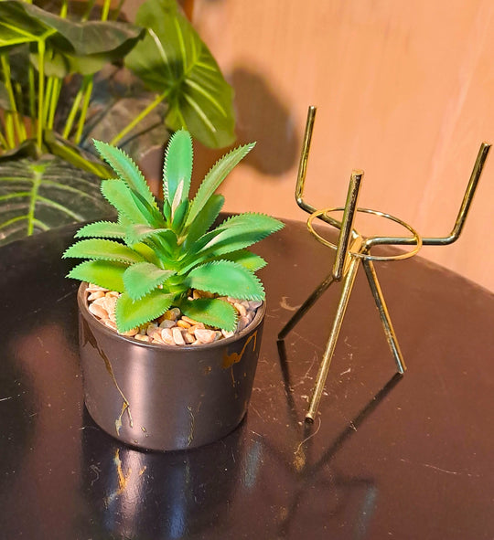 Black Ceramic Pot with Cactus Plant on a Tripod Stand