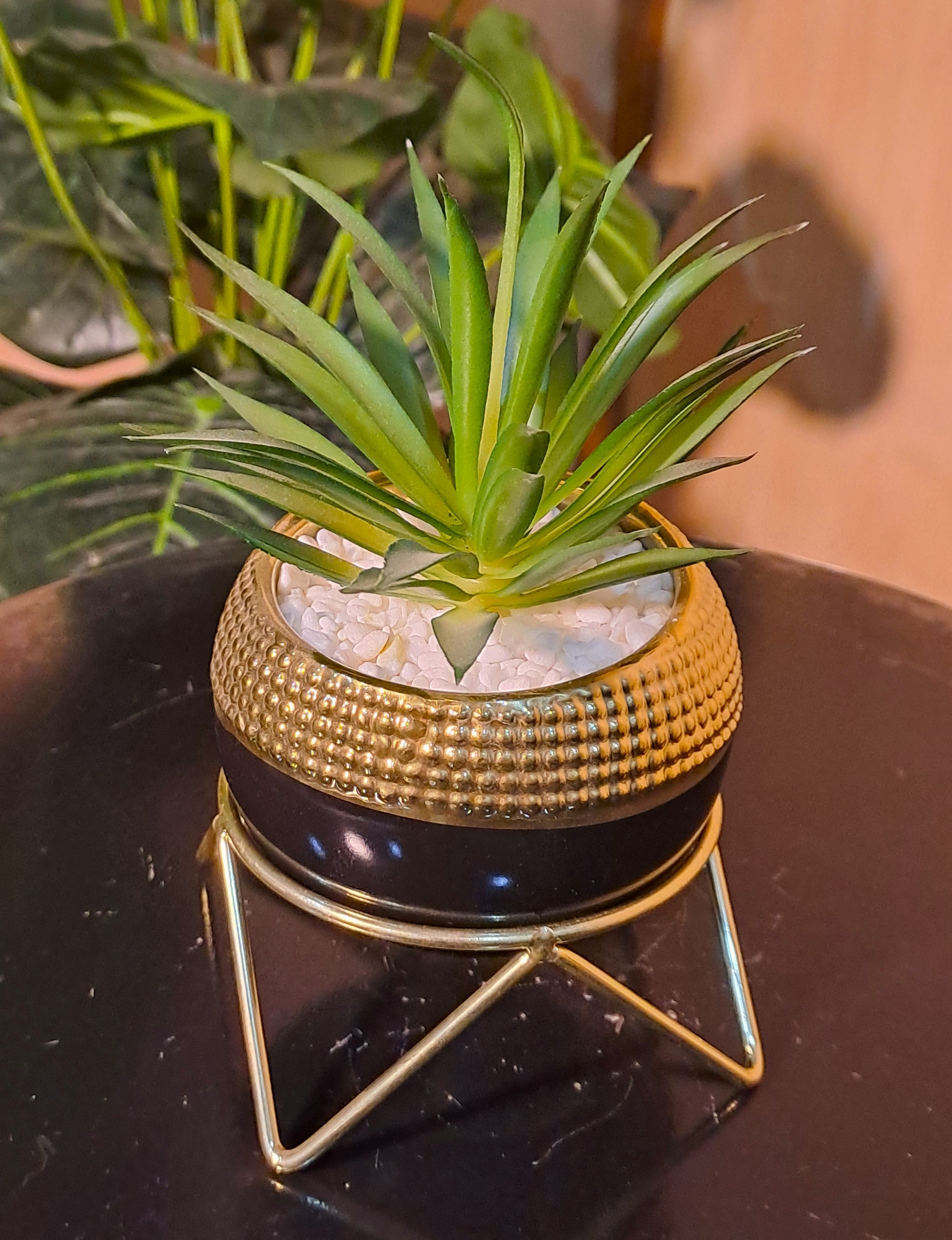 Ceramic Pot with Cactus Plant on a Metal Stand