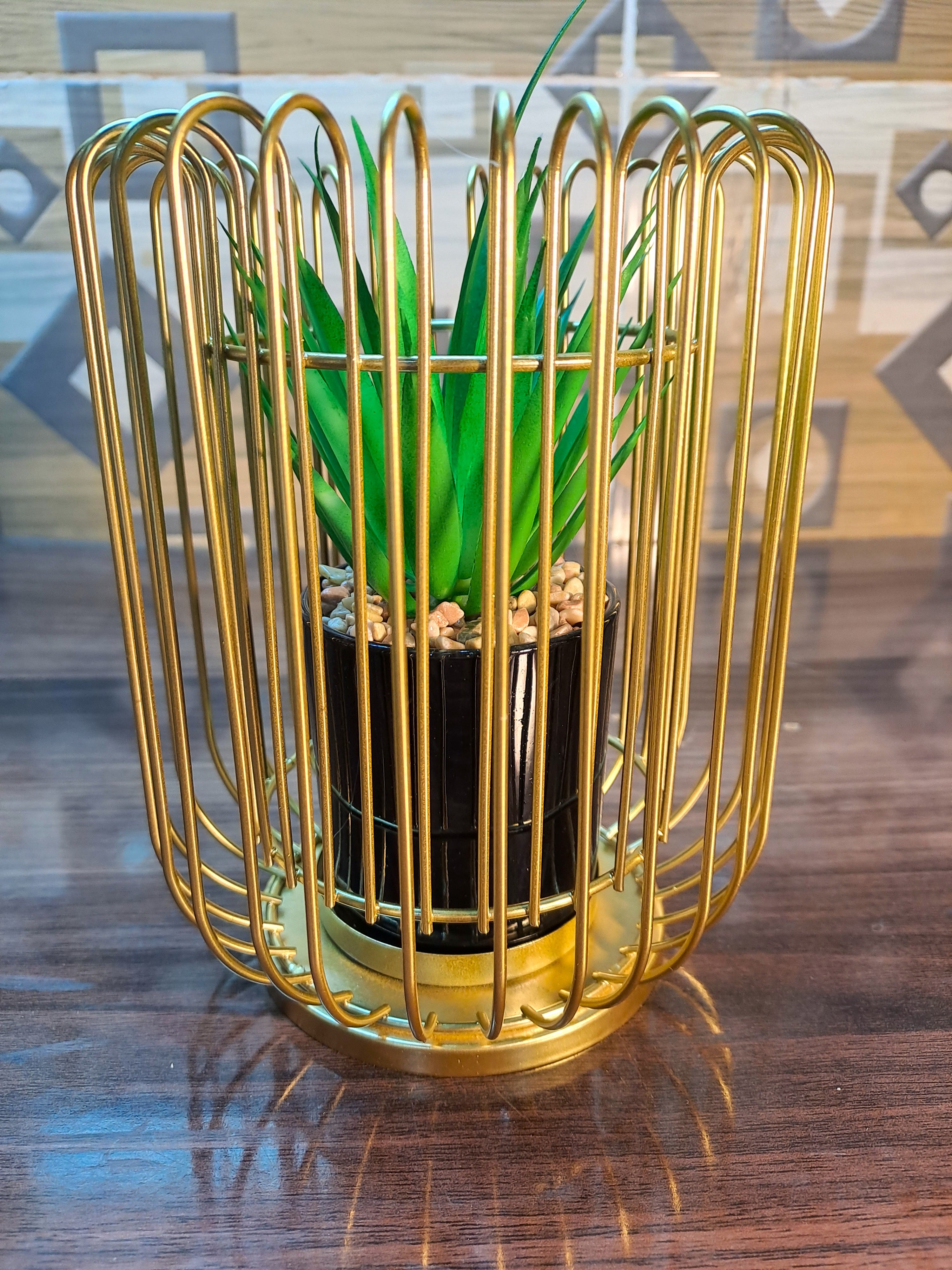 Cactus with Planter inside Acute Metallic Structure (2 Pcs set)