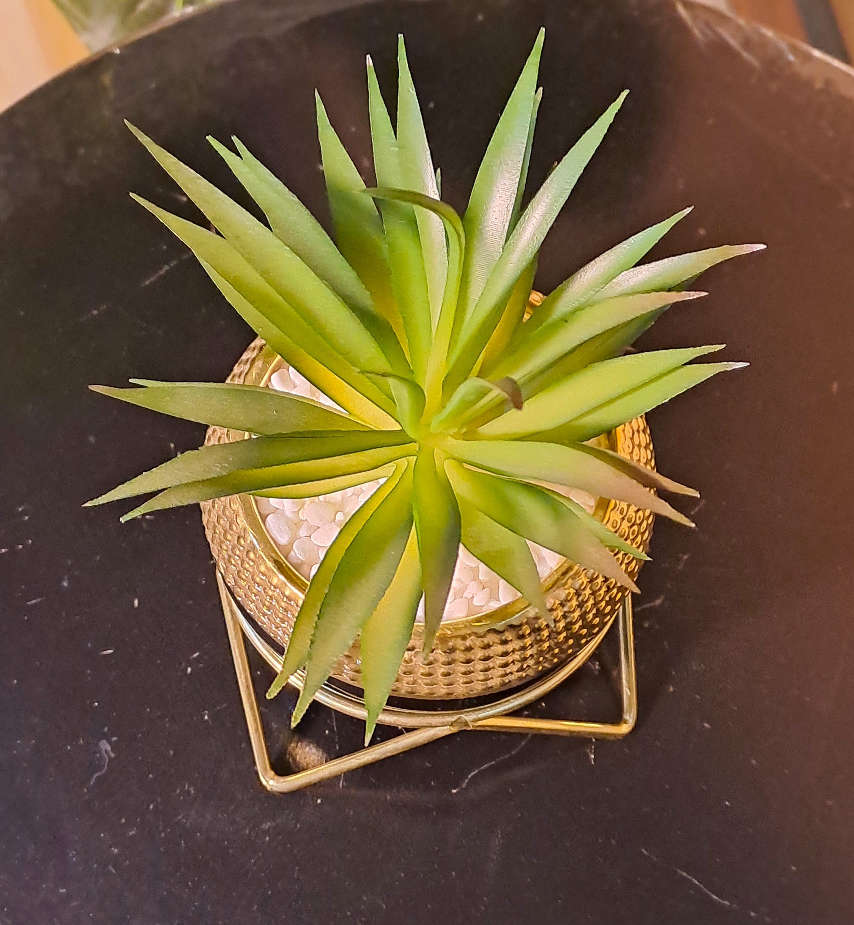 Ceramic Pot with Cactus Plant on a Metal Stand