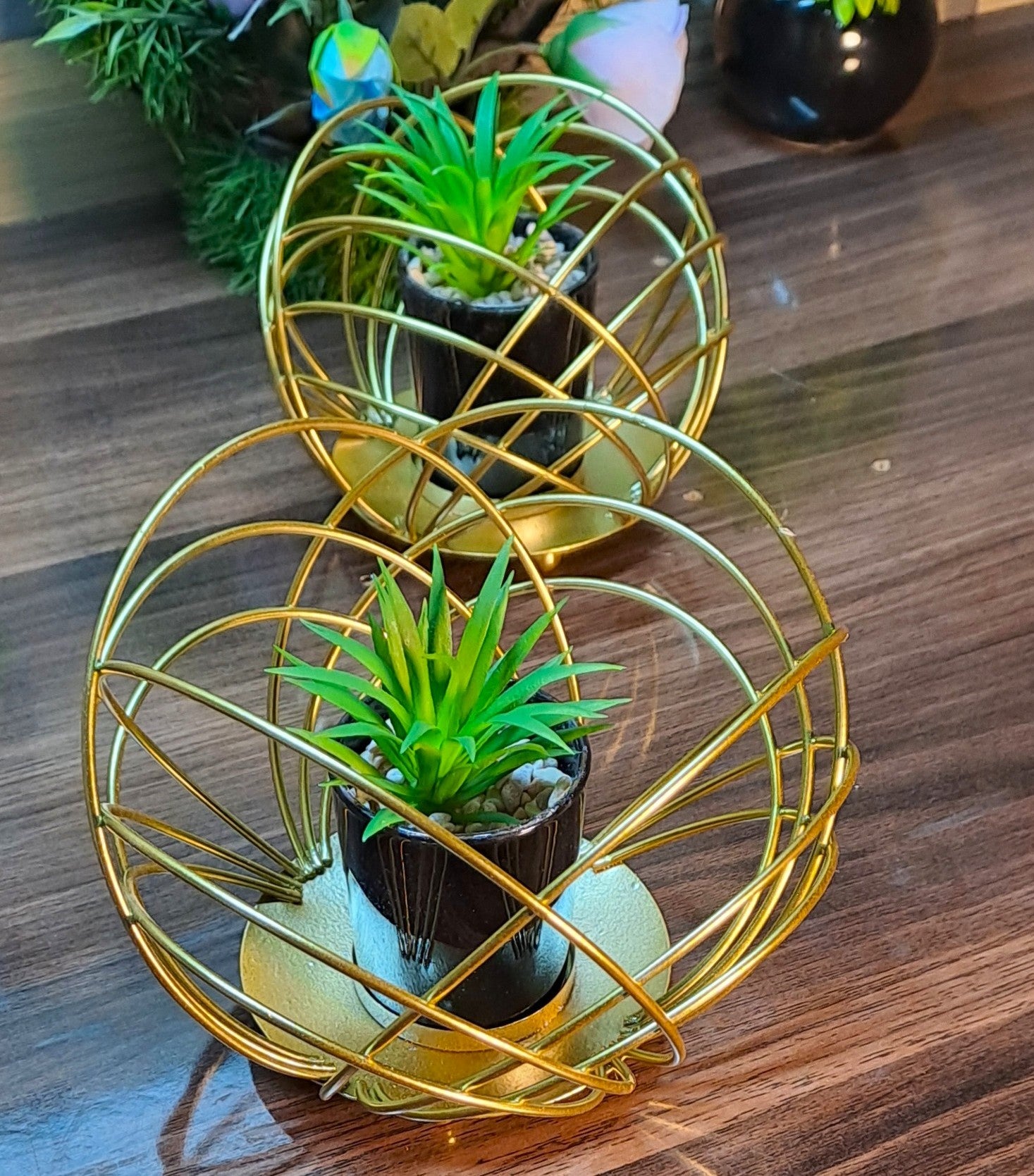 Cactus with Planter inside Acute Metallic Structure (2 Pcs set)
