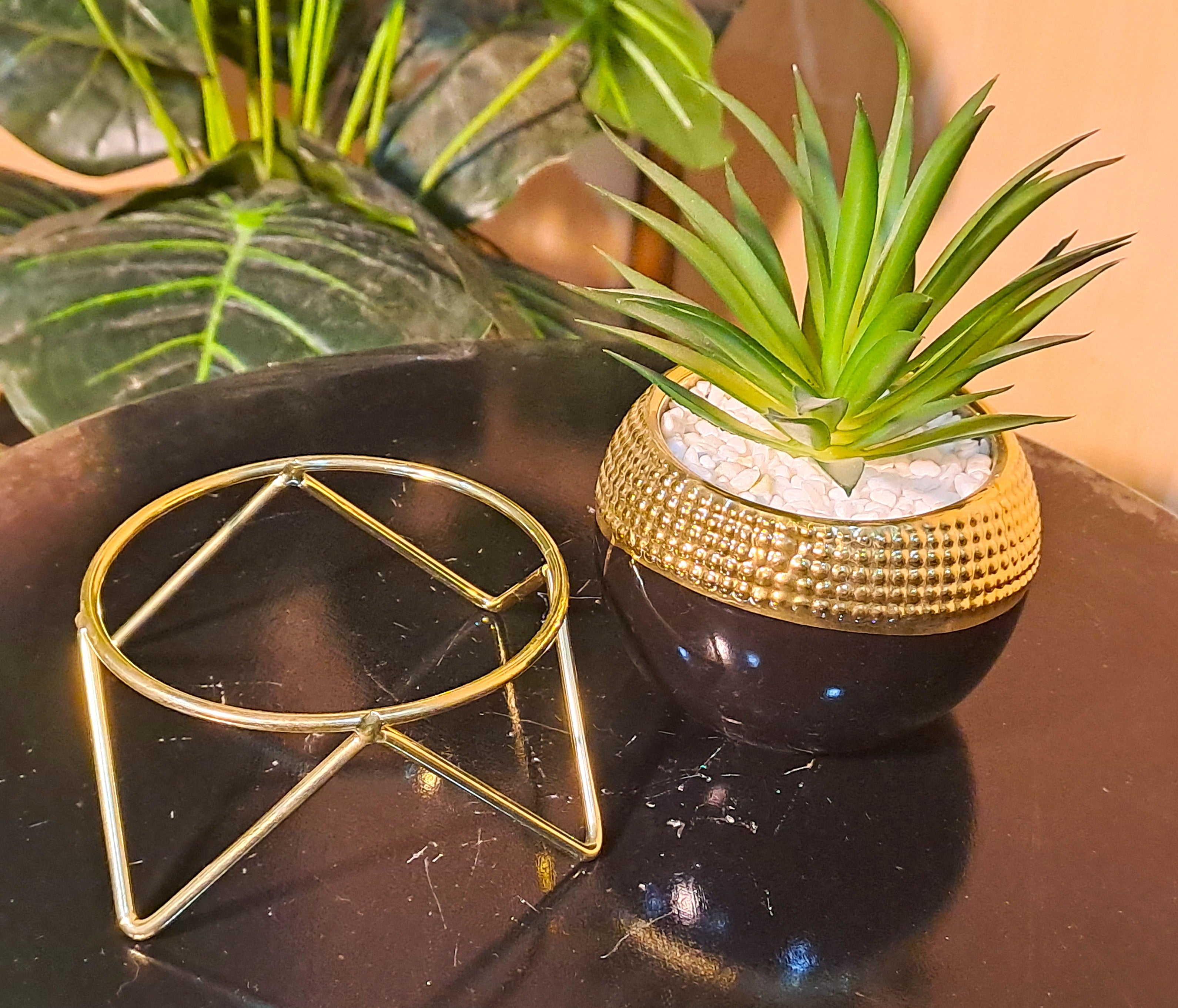 Ceramic Pot with Cactus Plant on a Metal Stand