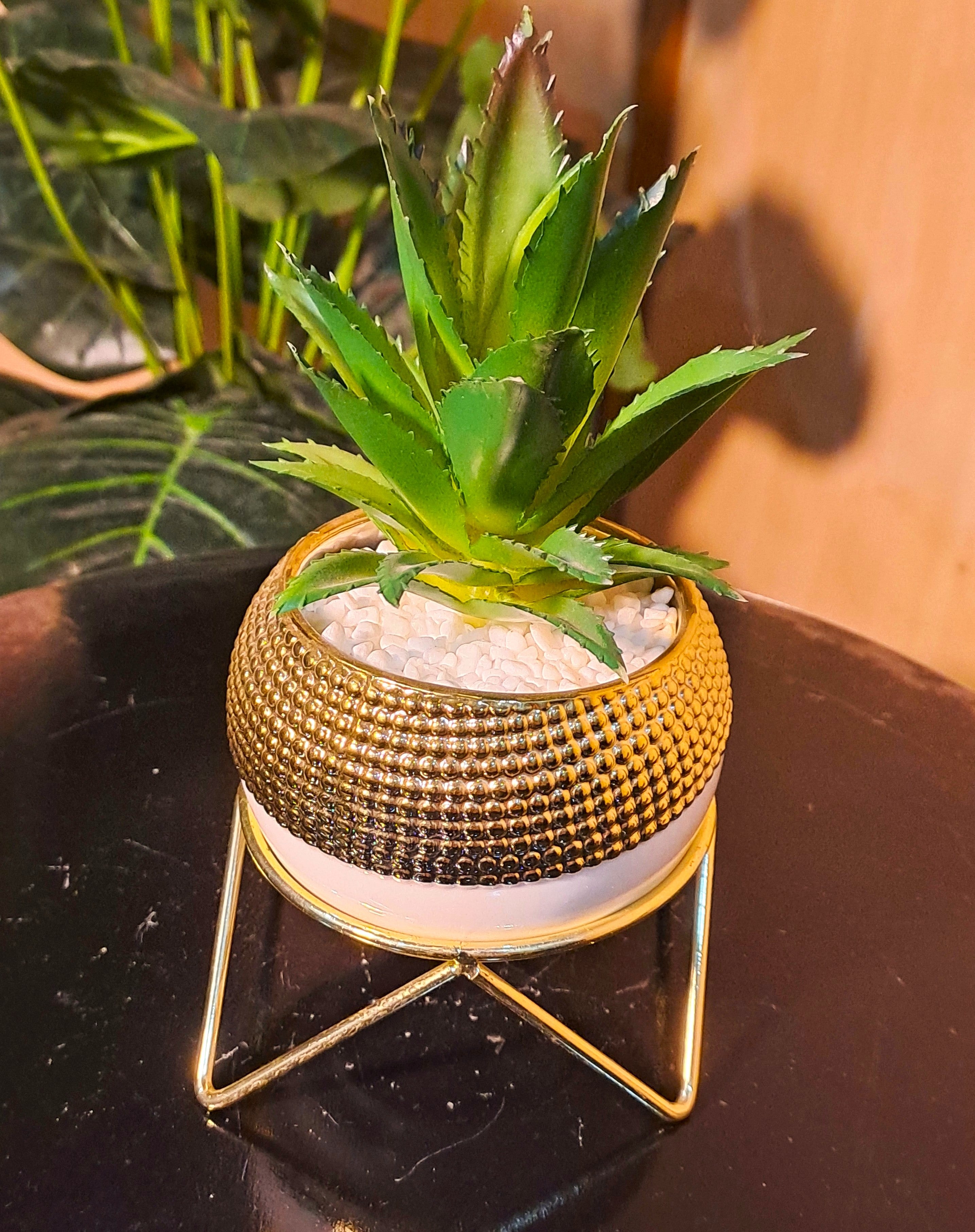 Ceramic Pot with Cactus Plant on a Metal Stand