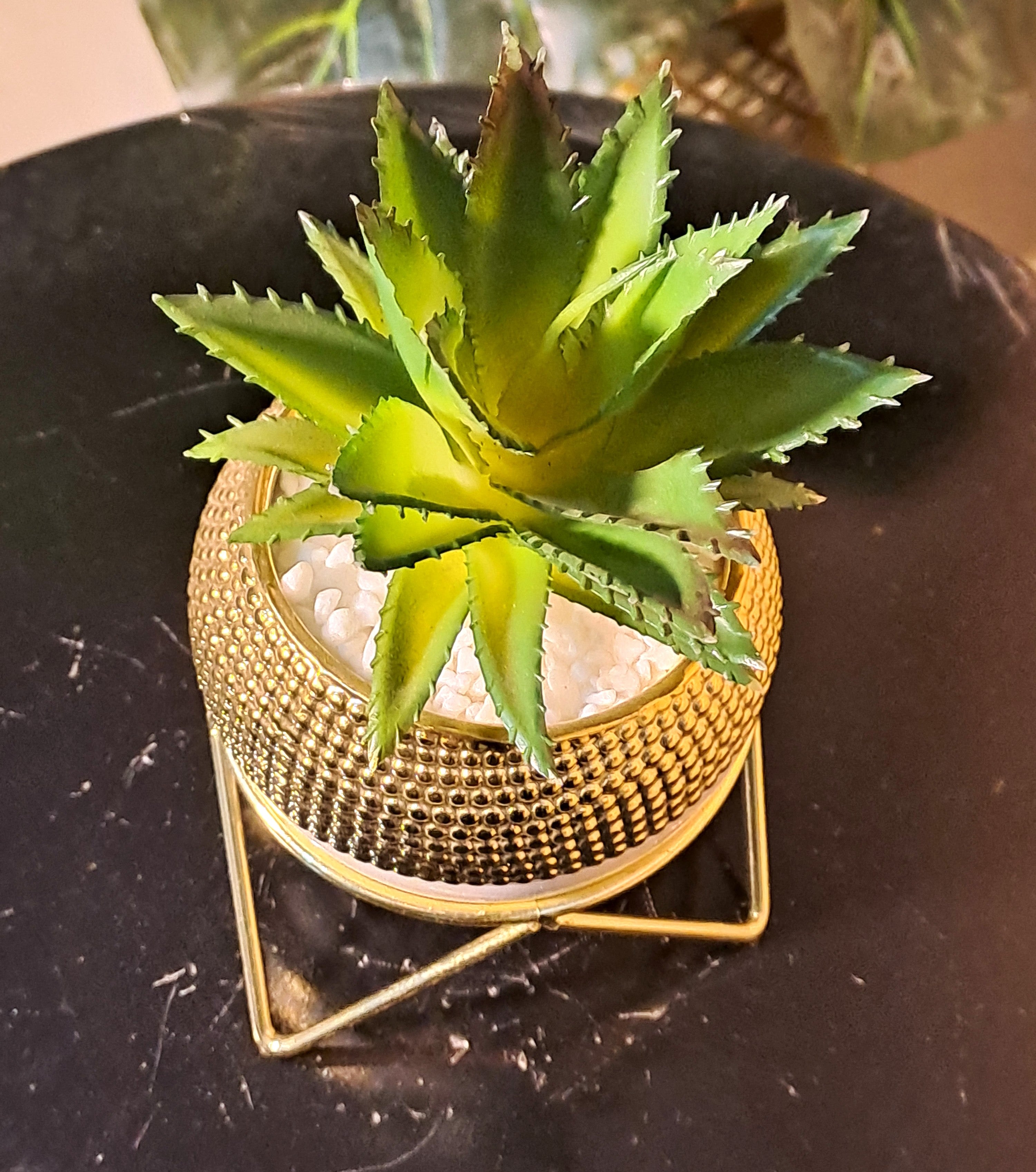 Ceramic Pot with Cactus Plant on a Metal Stand