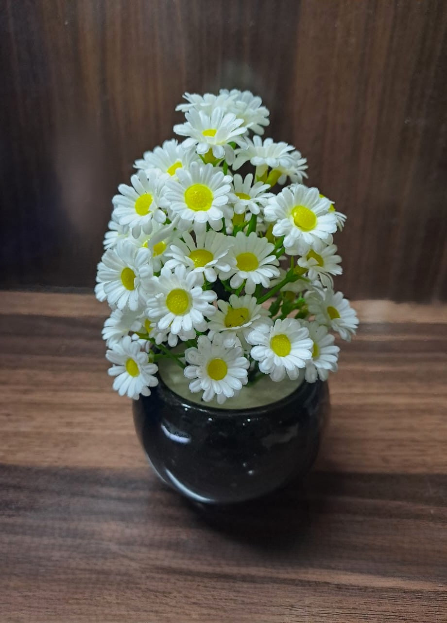 Black Ceramics Pot with artificial Plant & White flowers