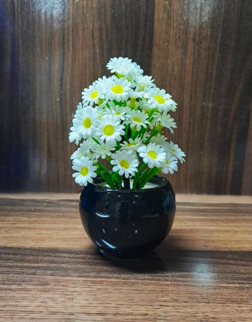 Black Ceramics Pot with artificial Plant & White flowers