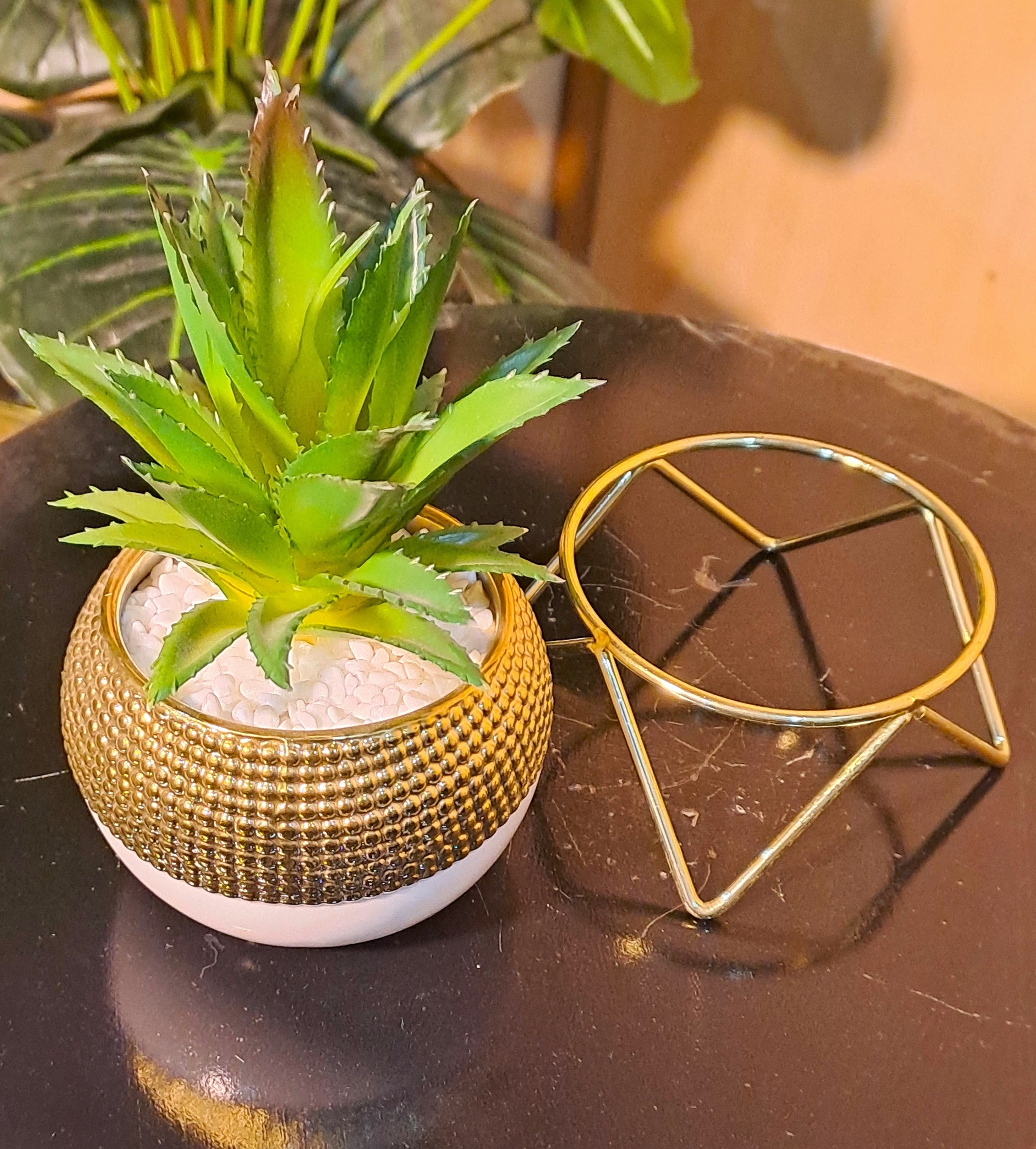 Ceramic Pot with Cactus Plant on a Metal Stand