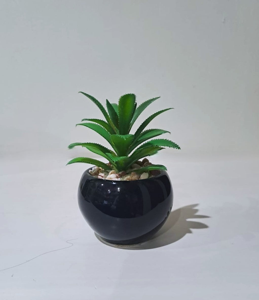 Black Ceramics Pot with artificial Plant