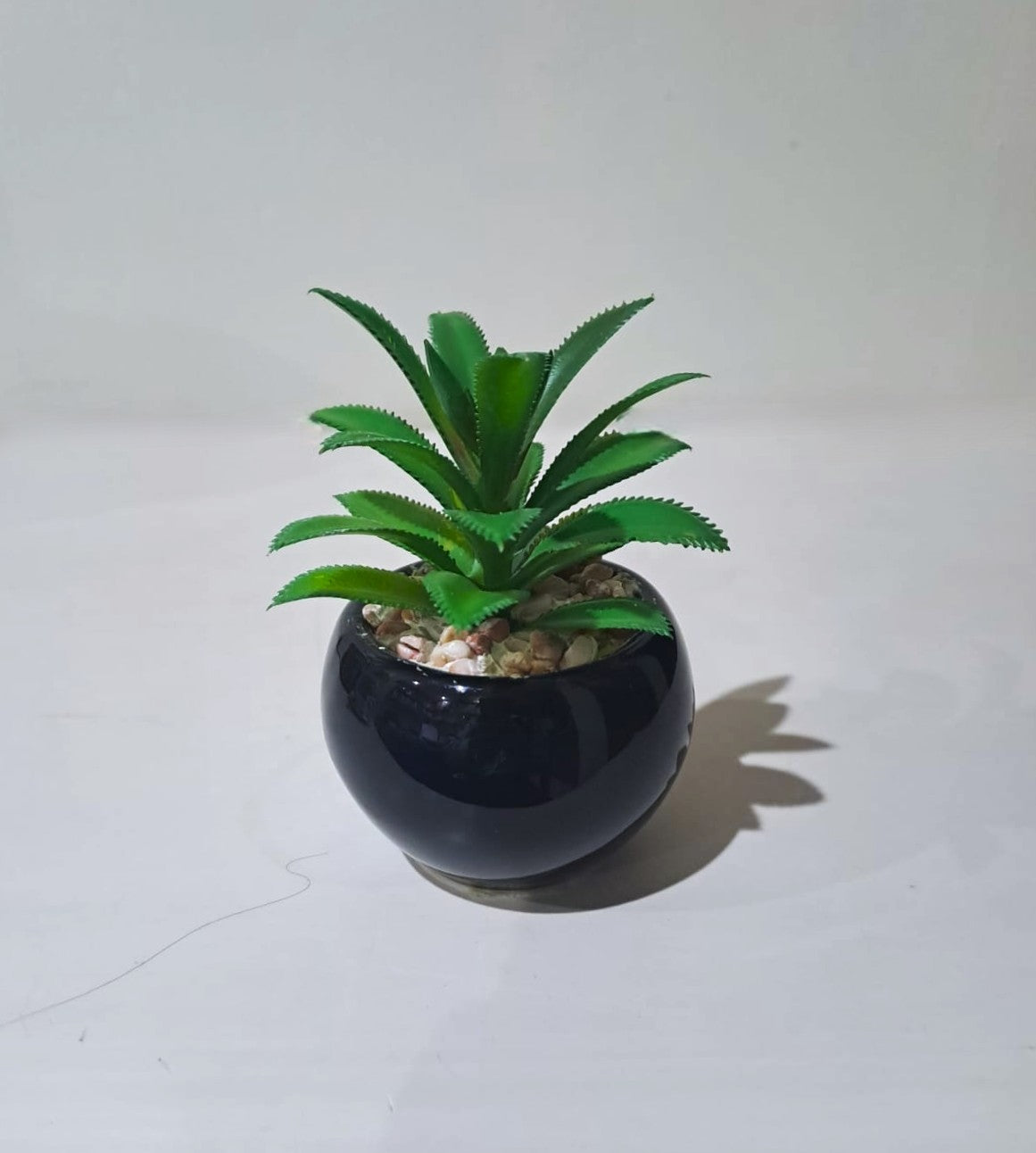 Black Ceramics Pot with artificial Plant