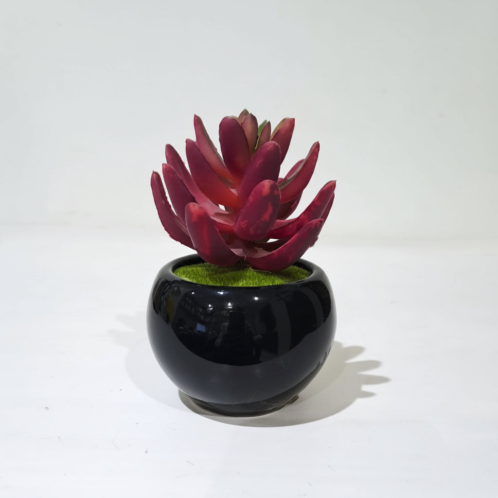 Black Ceramics Pot with artificial Plant