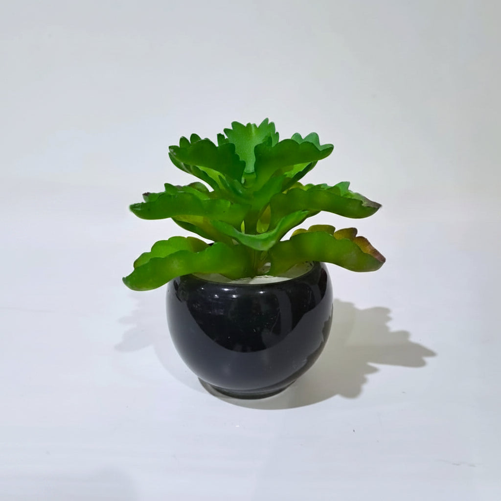 Black Ceramics Pot with artificial Succulent Plant