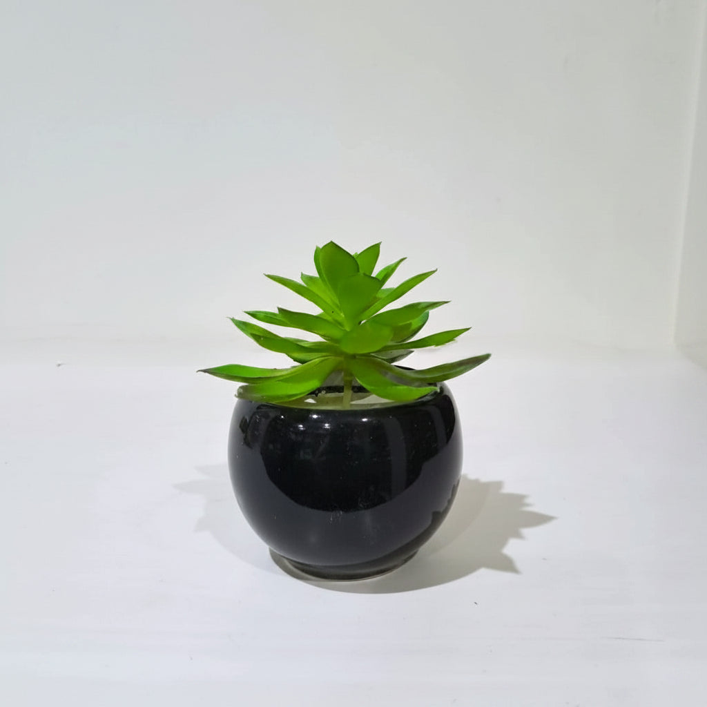 Black Ceramics Pot with artificial Succulent Plant