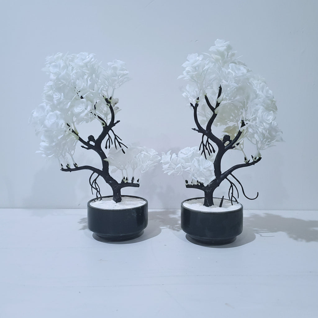 Pack of 2 Black Ceramics Bowl shaped Pots with artificial bonsai tree with white flowers