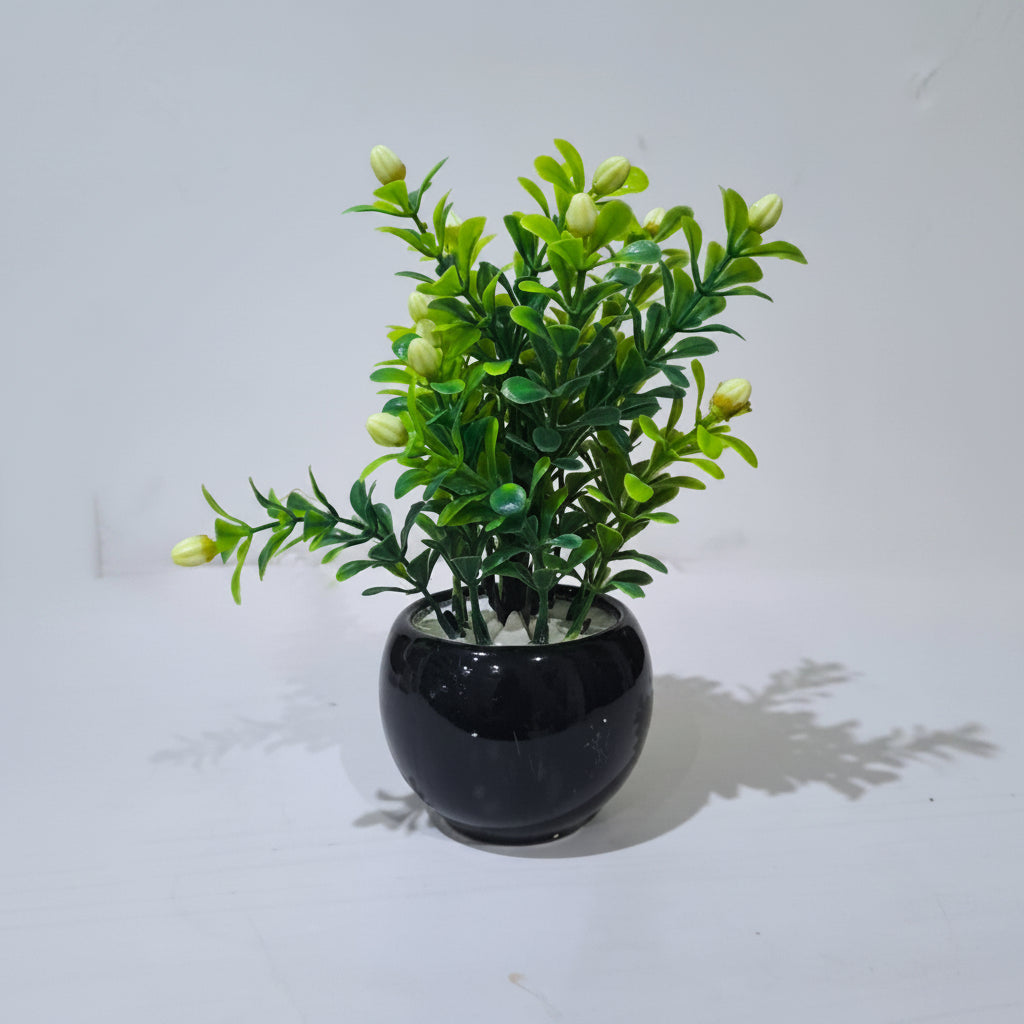 Black Ceramics Pot with artificial Morga(Motia) Flower Buds and Plant