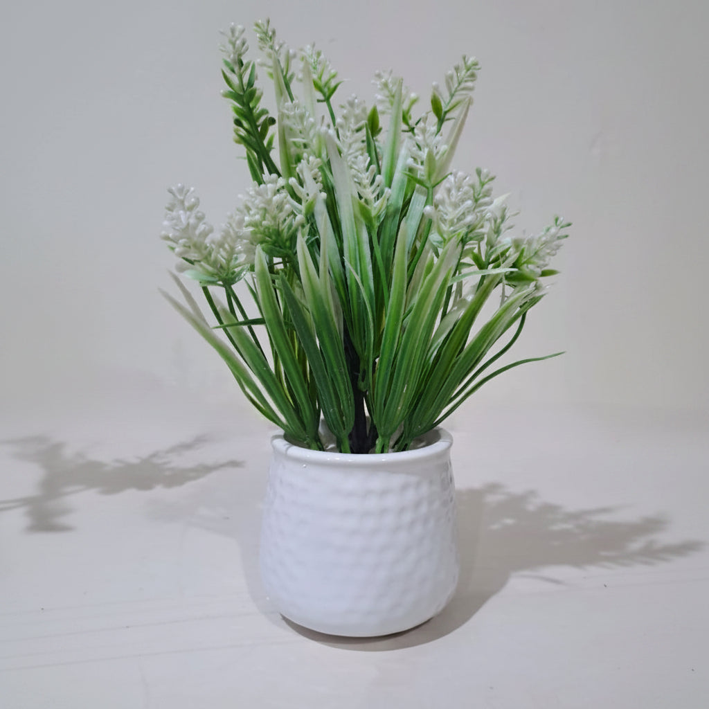 White Ceramics Pot with artificial White Lavender Plants