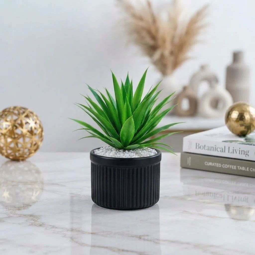 Artificial Green Succulent-Style Desk Plant in Colorful Pots – Pink, White, Black & Yellow