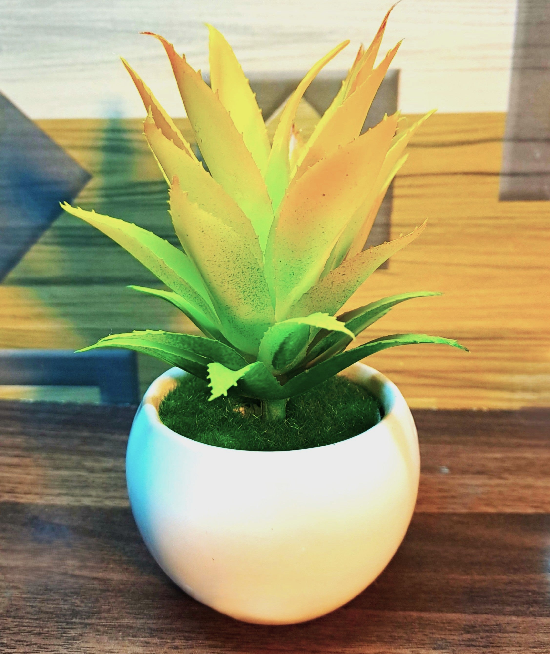 Ceramic Pot (White) with artificial Cactus Plant