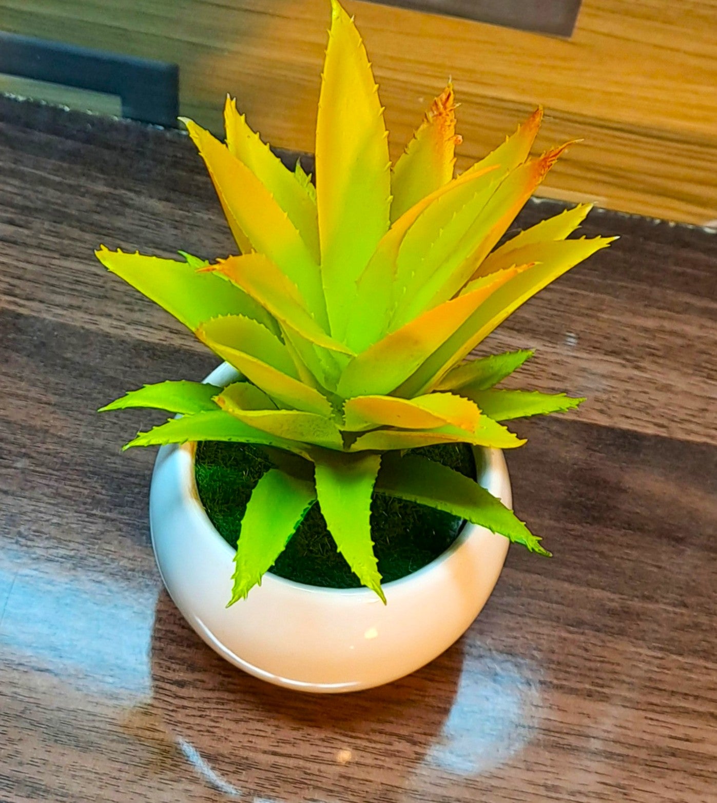 Ceramic Pot (White) with artificial Cactus Plant