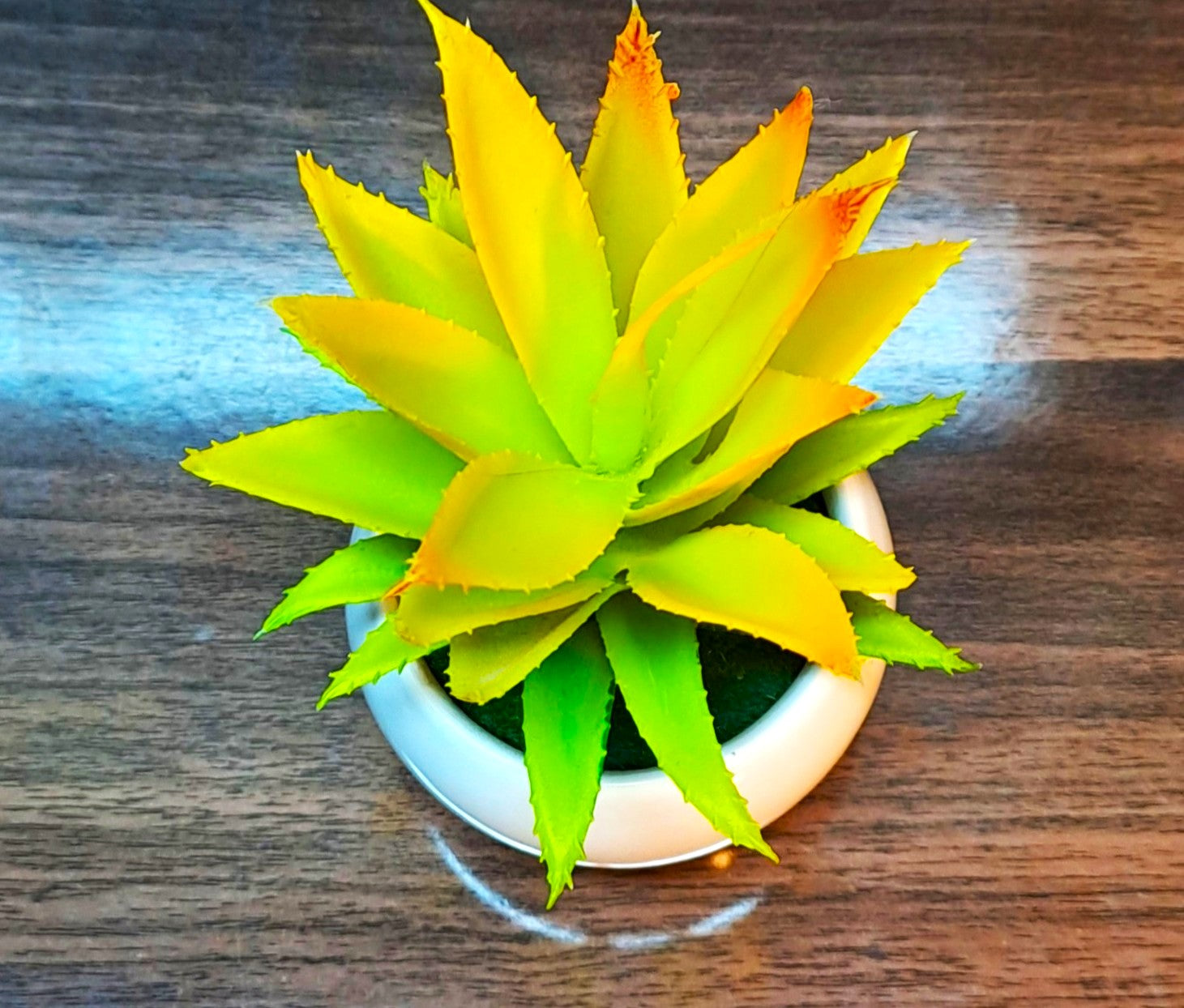 Ceramic Pot (White) with artificial Cactus Plant