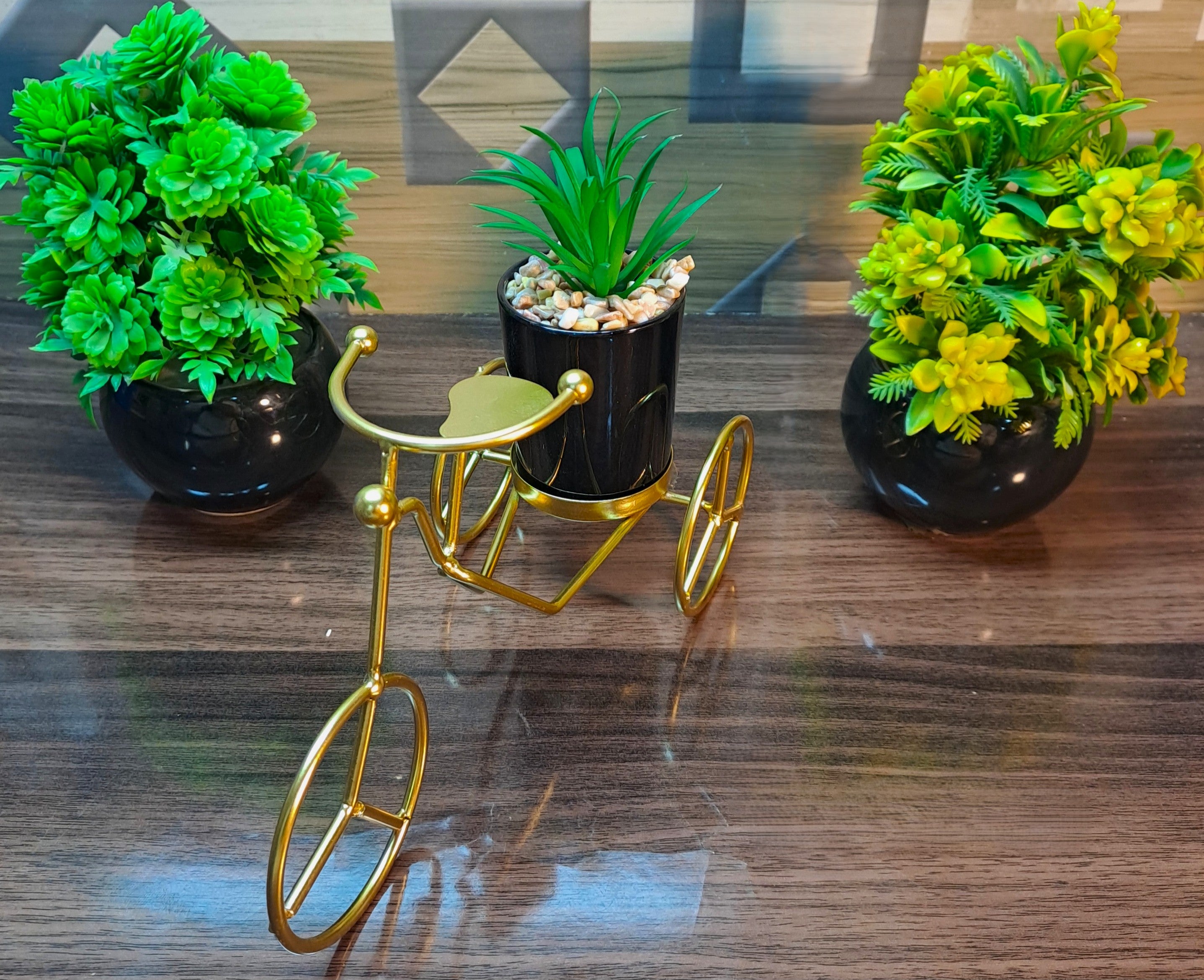Cactus with Planter over Metallic Tricycle