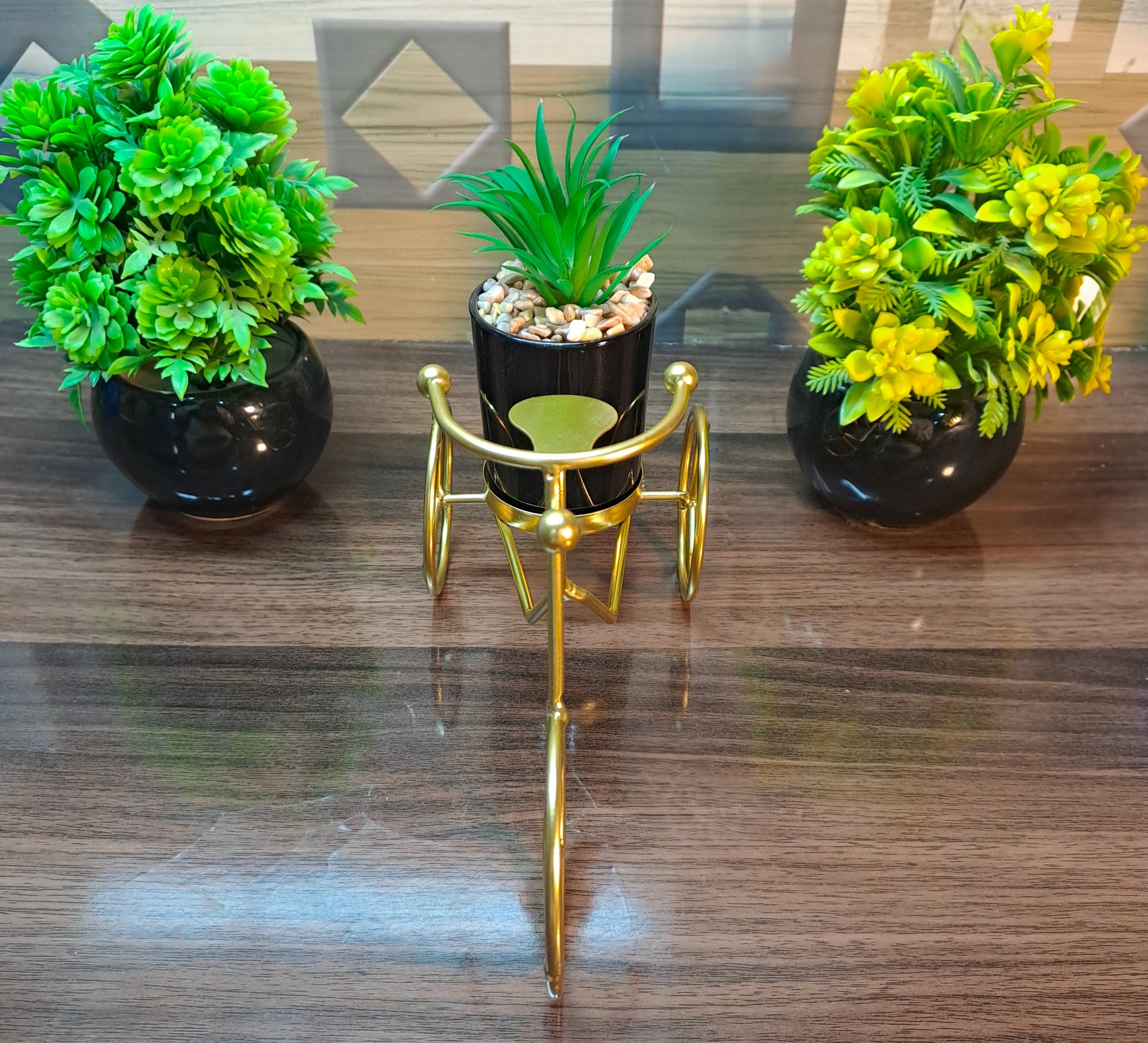 Cactus with Planter over Metallic Tricycle