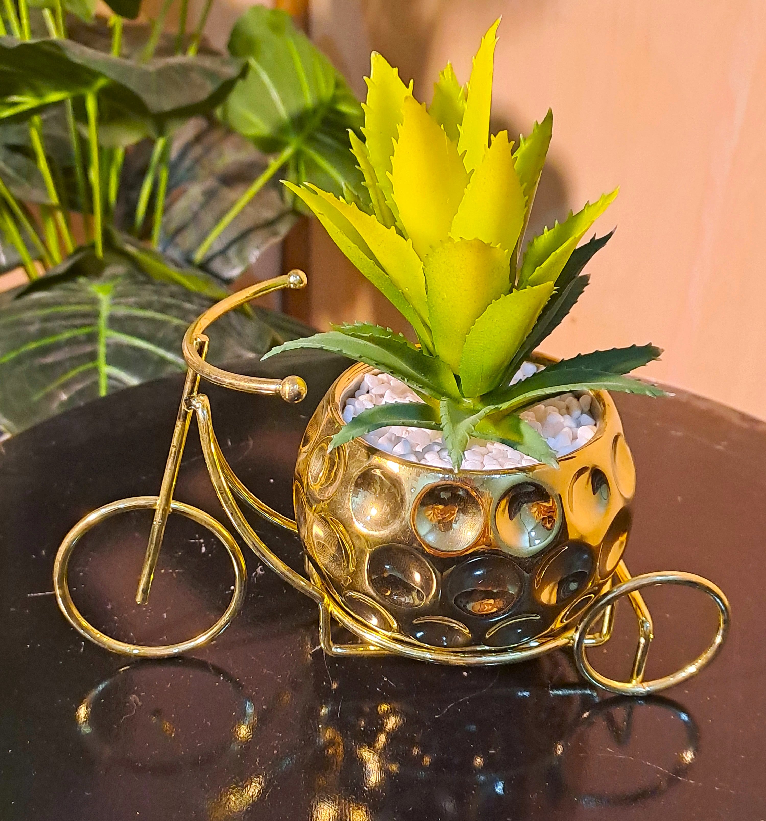 Classic Golden Ceramic Pot with Cactus Plant on Metallic Bicycle