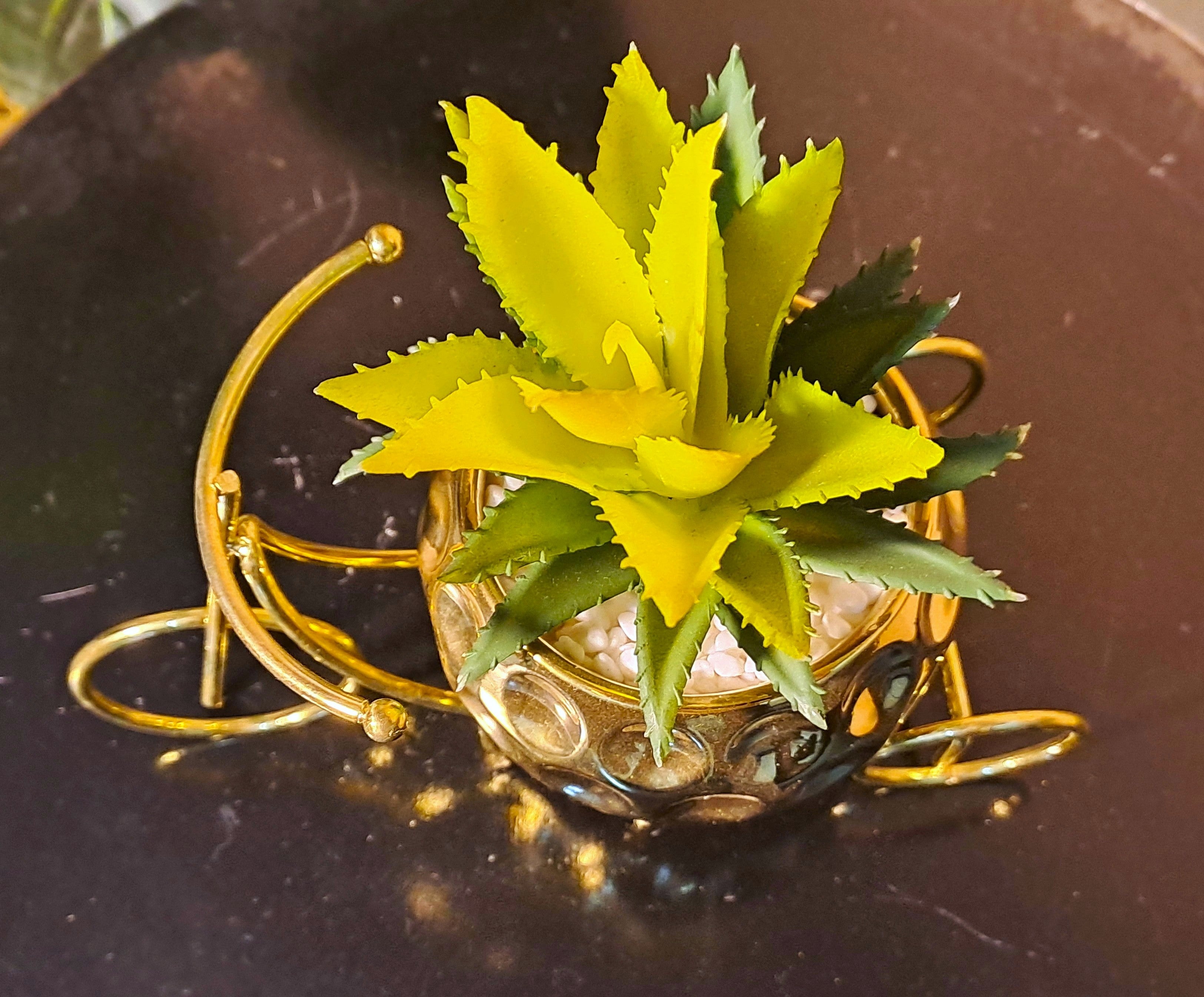 Classic Golden Ceramic Pot with Cactus Plant on Metallic Bicycle