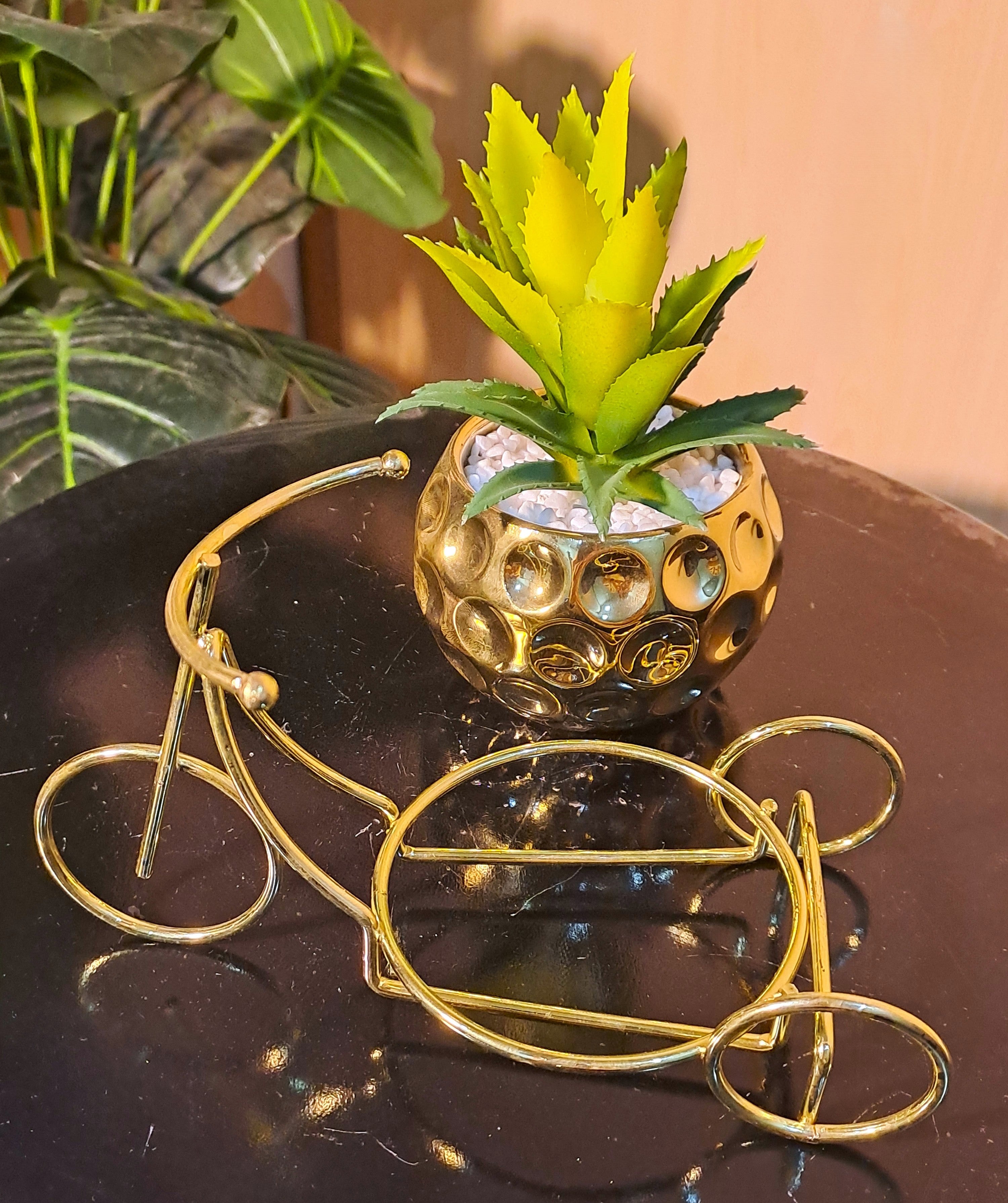 Classic Golden Ceramic Pot with Cactus Plant on Metallic Bicycle