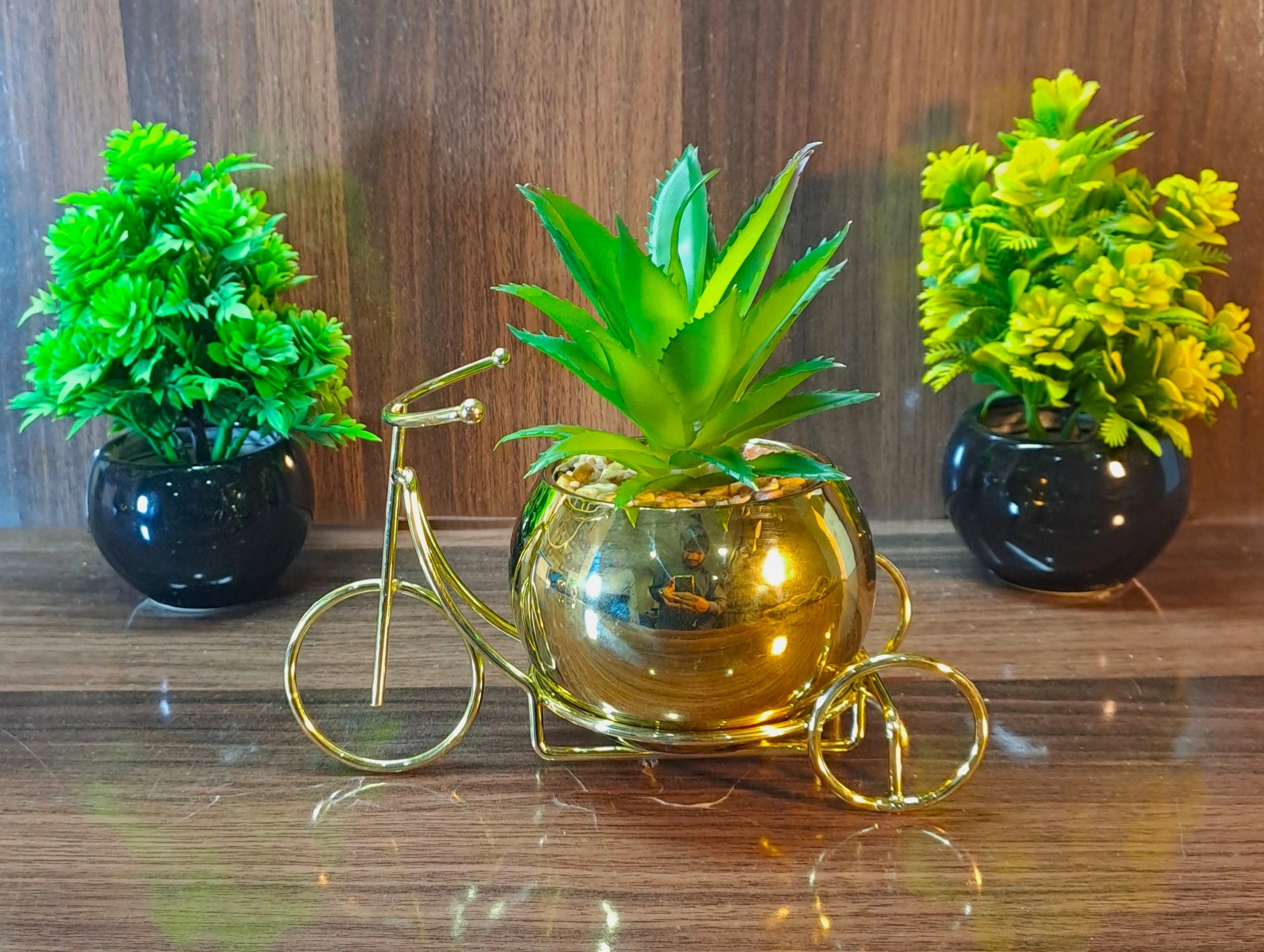 Classic Golden Ceramic Pot with Cactus Plant on Metallic Bicycle