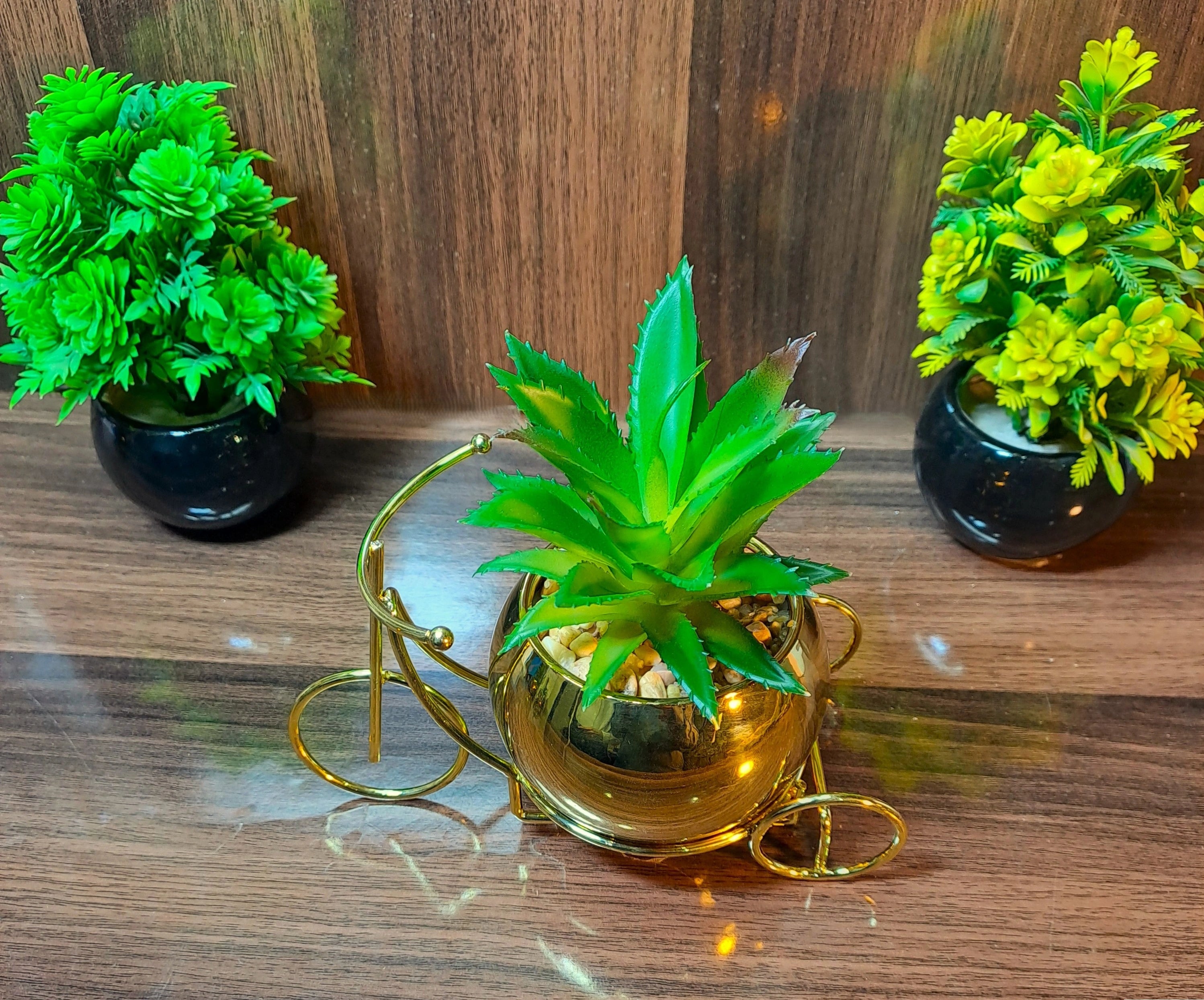 Classic Golden Ceramic Pot with Cactus Plant on Metallic Bicycle