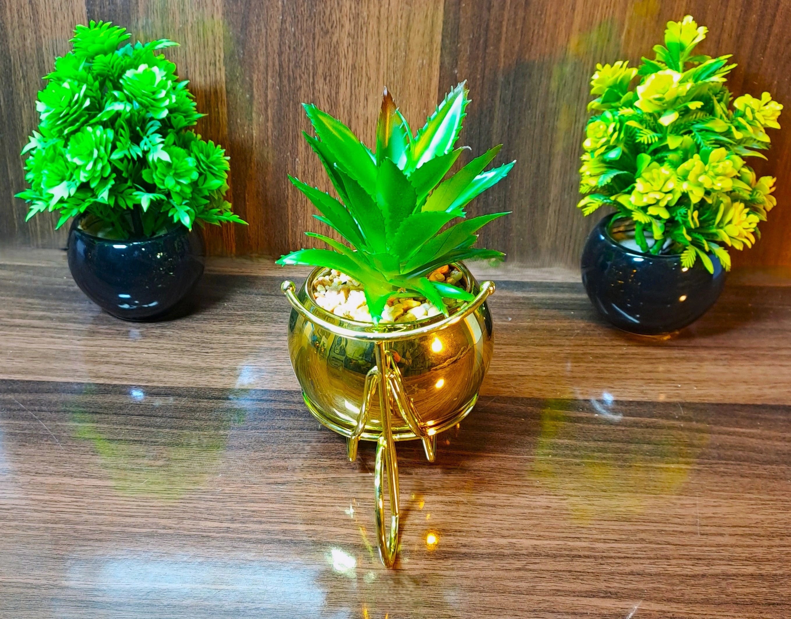 Classic Golden Ceramic Pot with Cactus Plant on Metallic Bicycle
