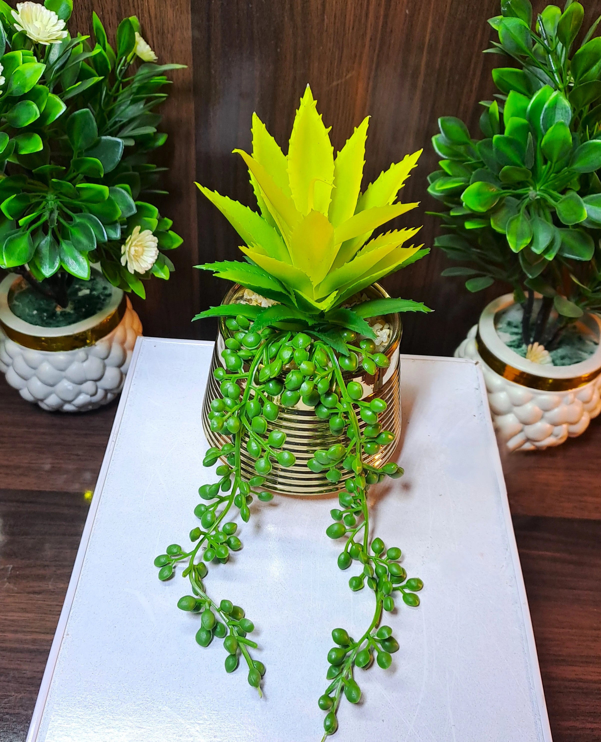 Classic Golden Ceramic Pot with artificial Cactus Plant & Succulent Pearls