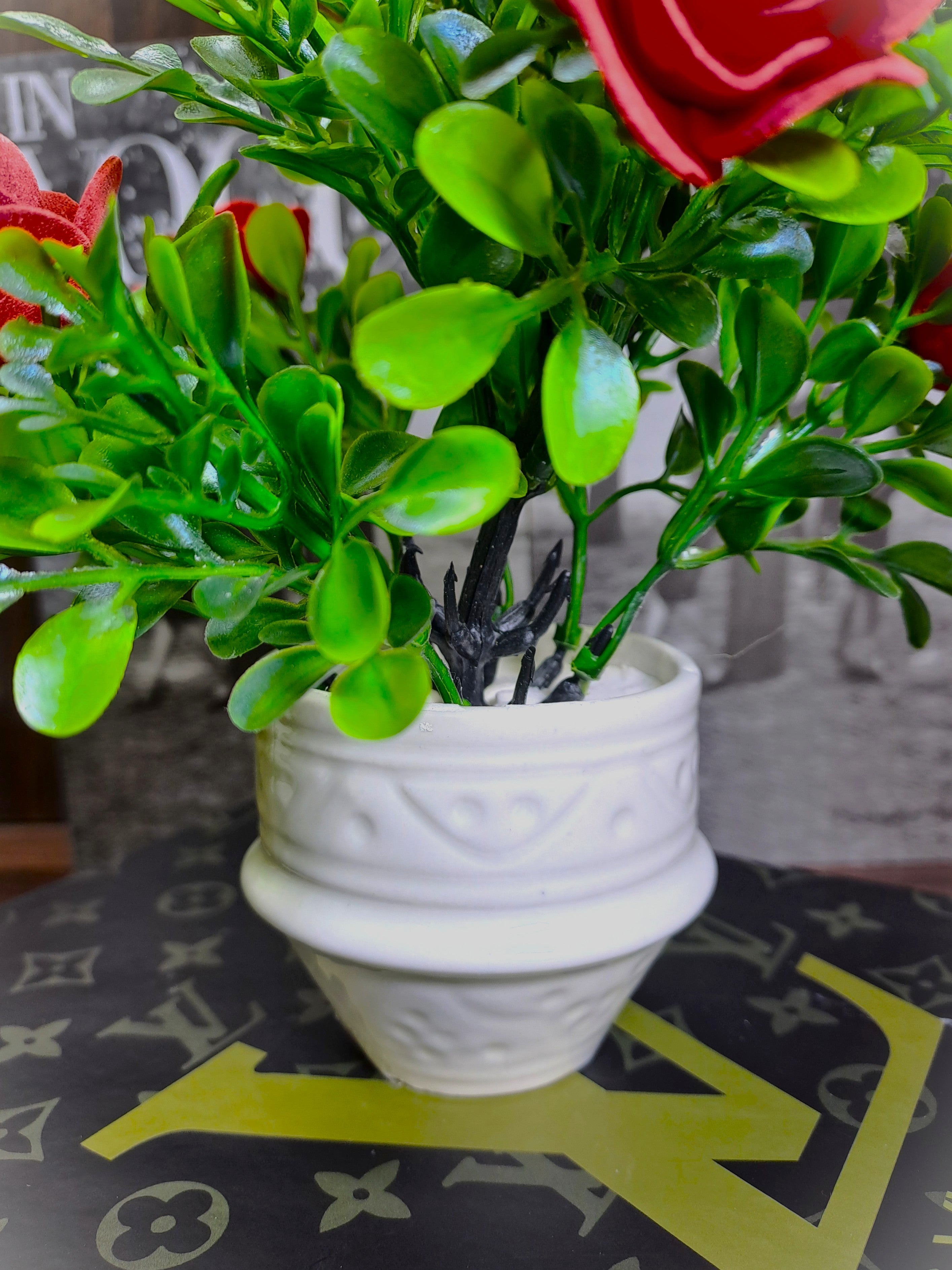 White Ceramic Pot with Classic Green Plant with Red Flowers