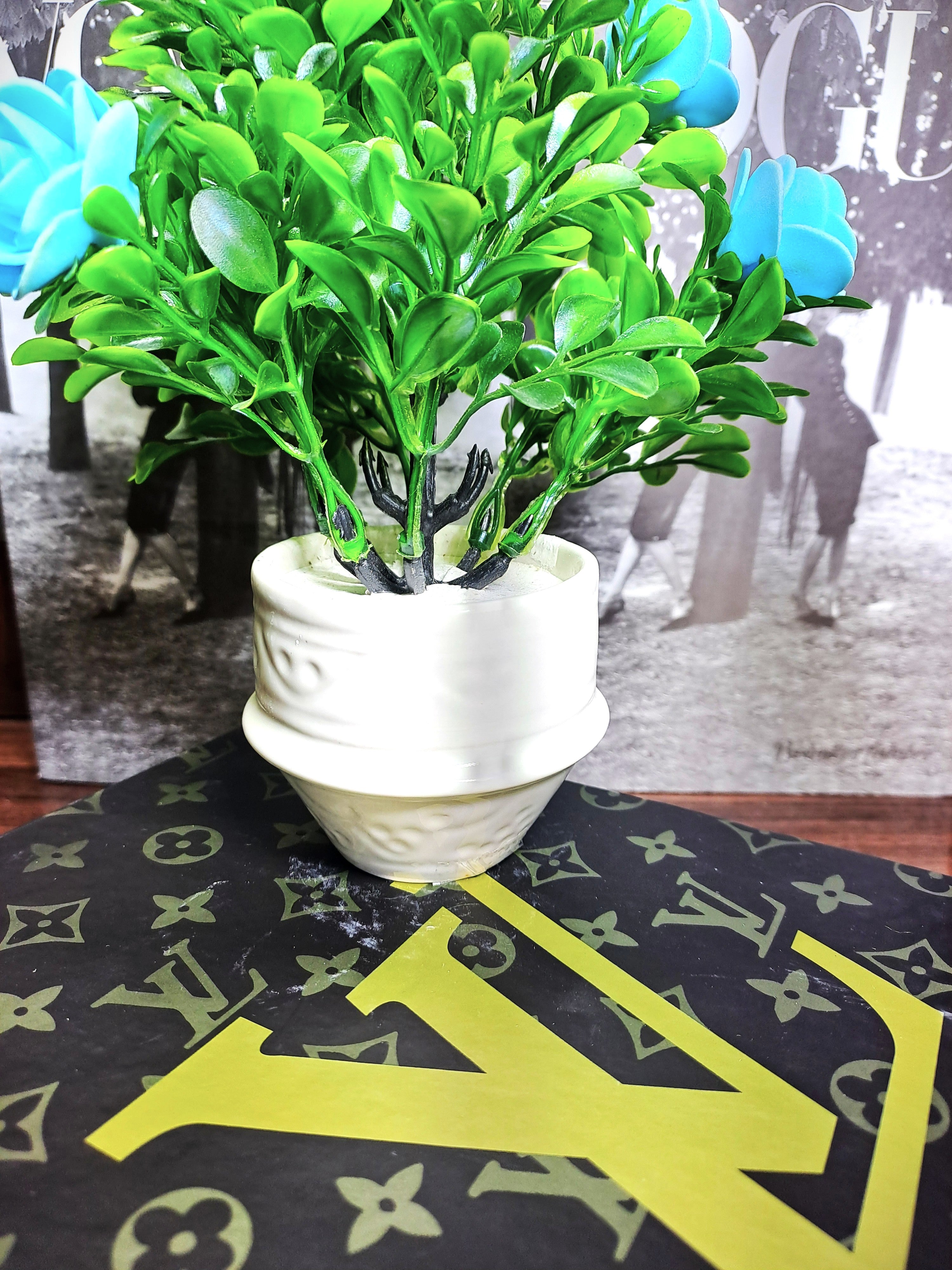 White Ceramic Pot with Classic Green Plant with Blue Flowers