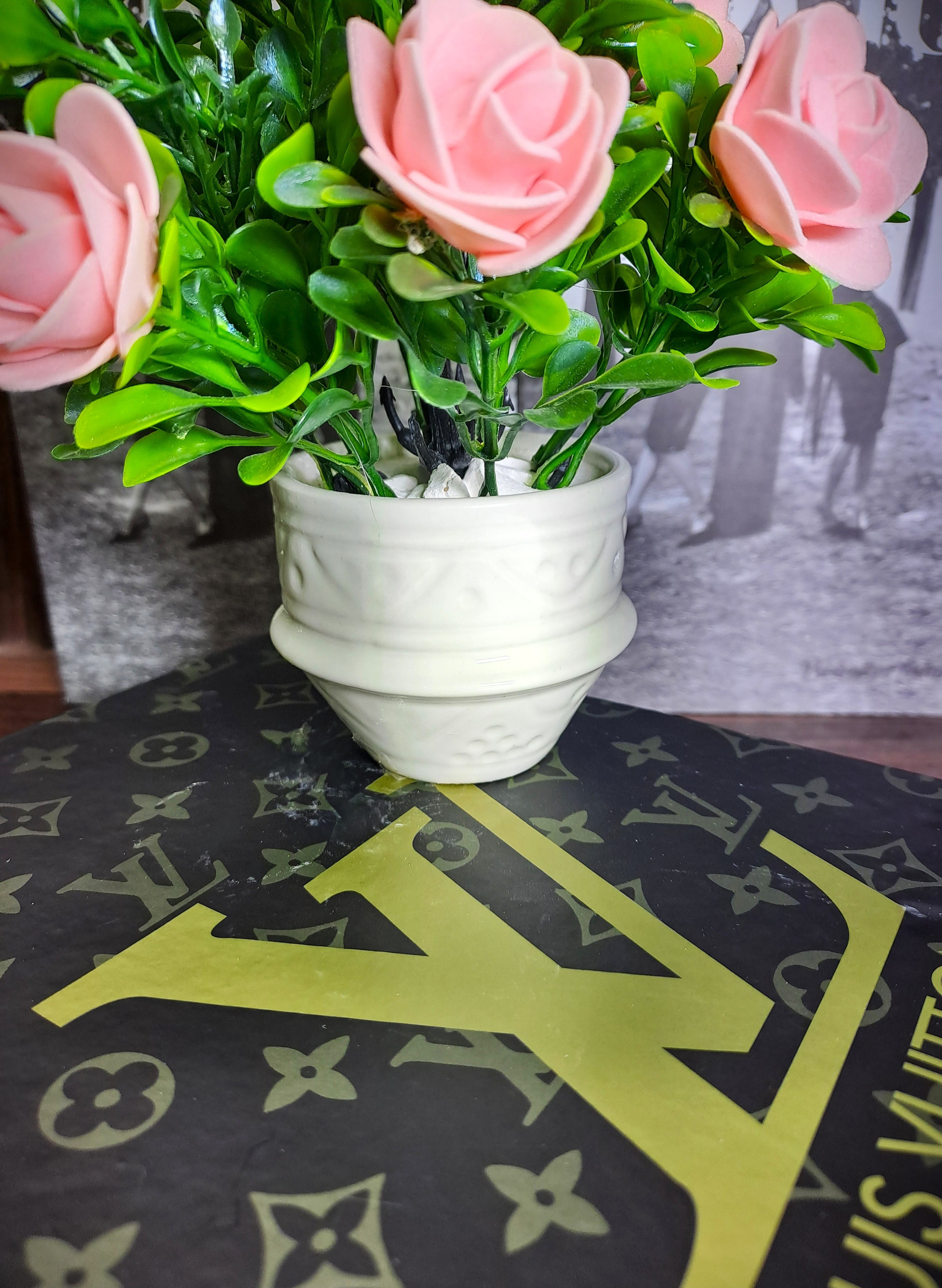 White Ceramic Pot with Classic Green Plant with Peach Flowers