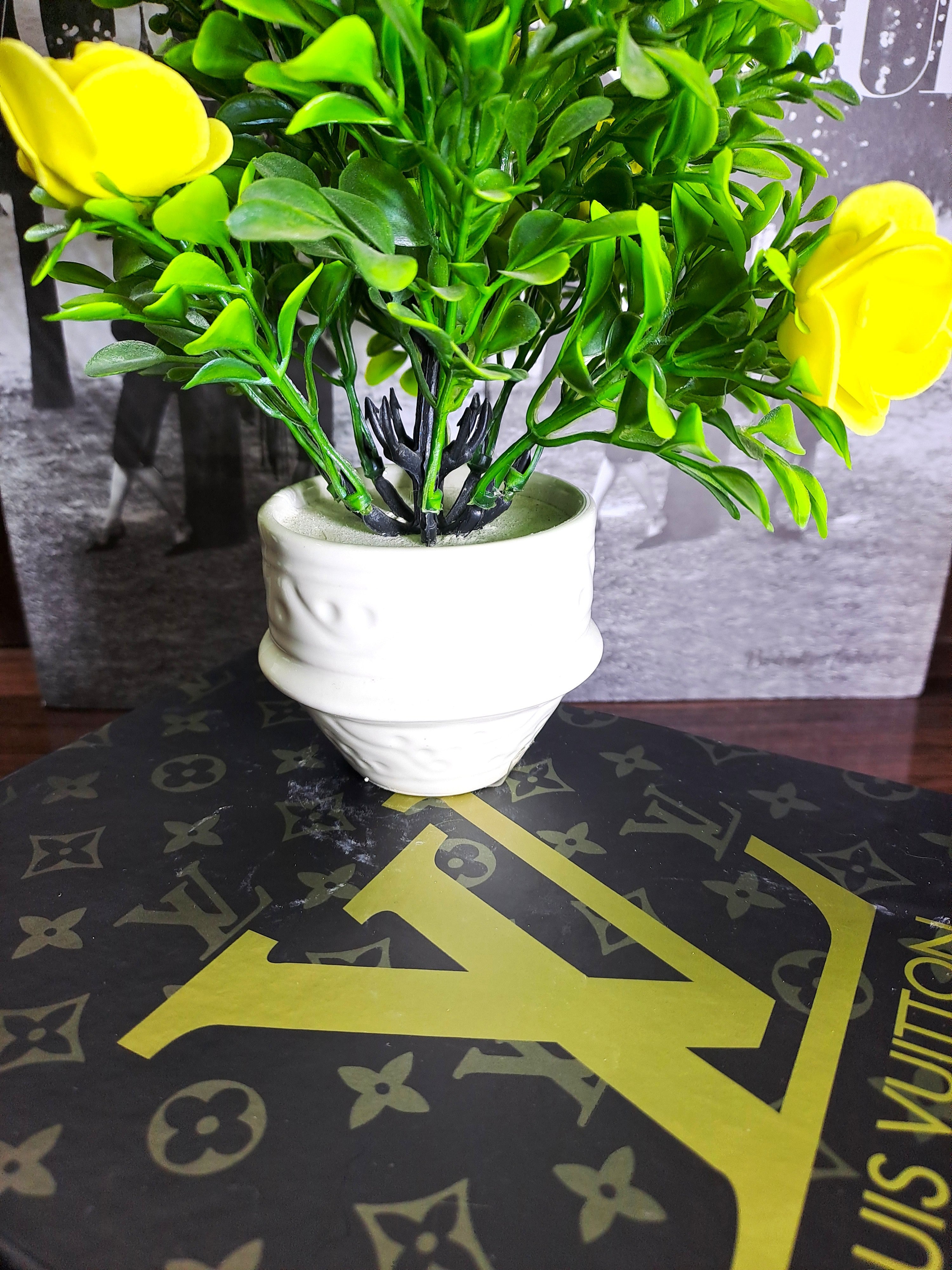 White Ceramic Pot with Classic Green Plant with Yellow Flowers