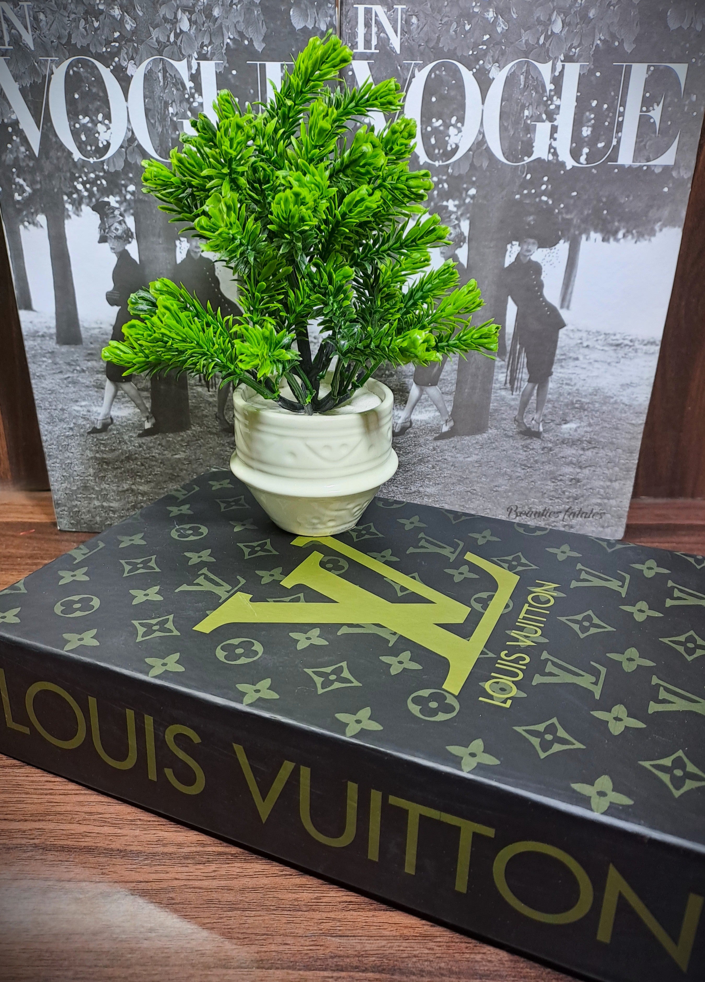 White Ceramic Pot with Classic Green Plant