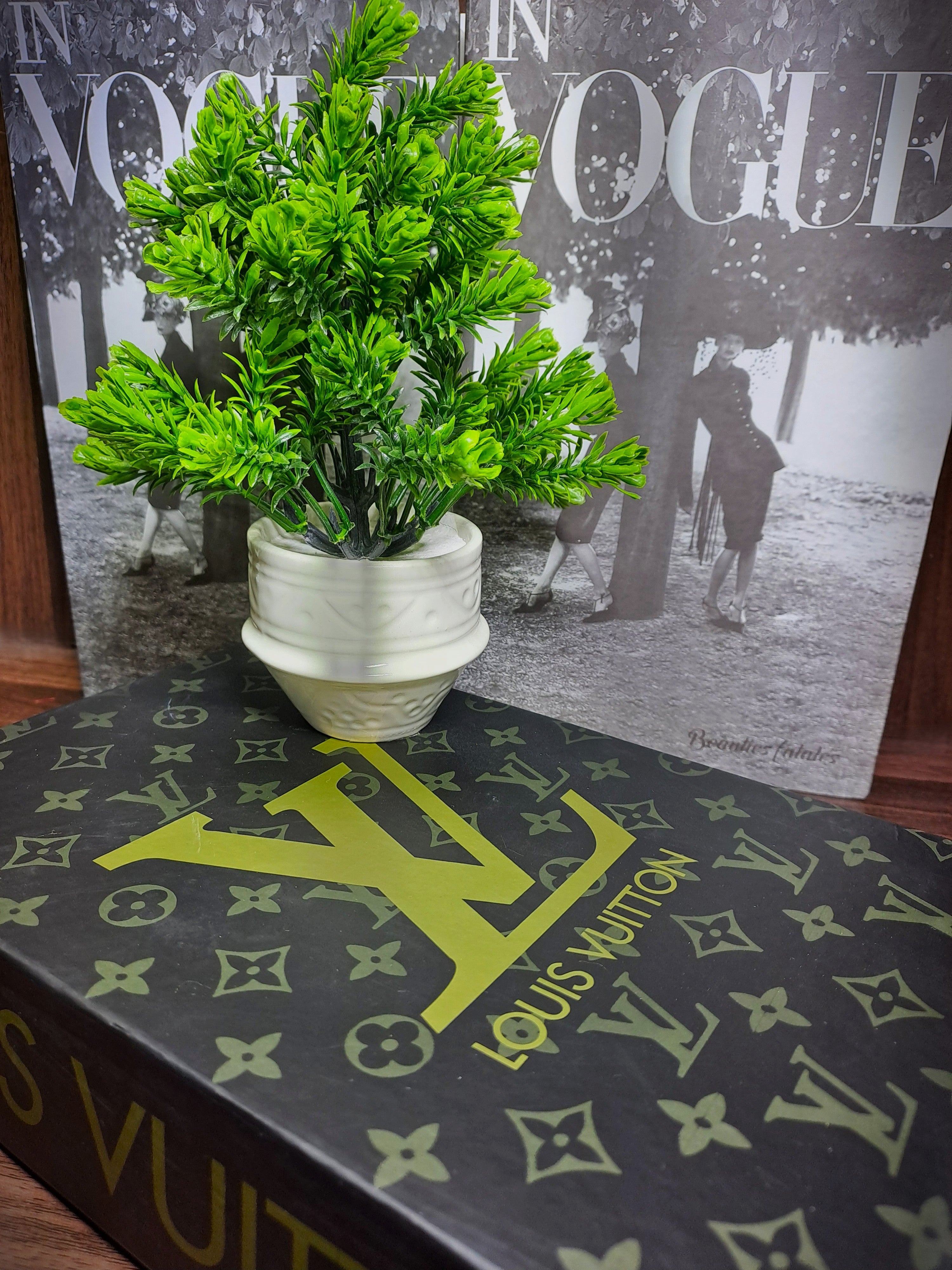 White Ceramic Pot with Classic Green Plant